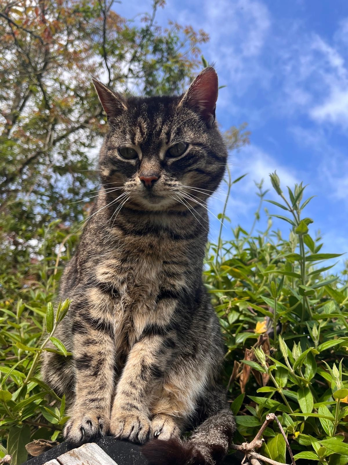 Peter - 30926, Seelze