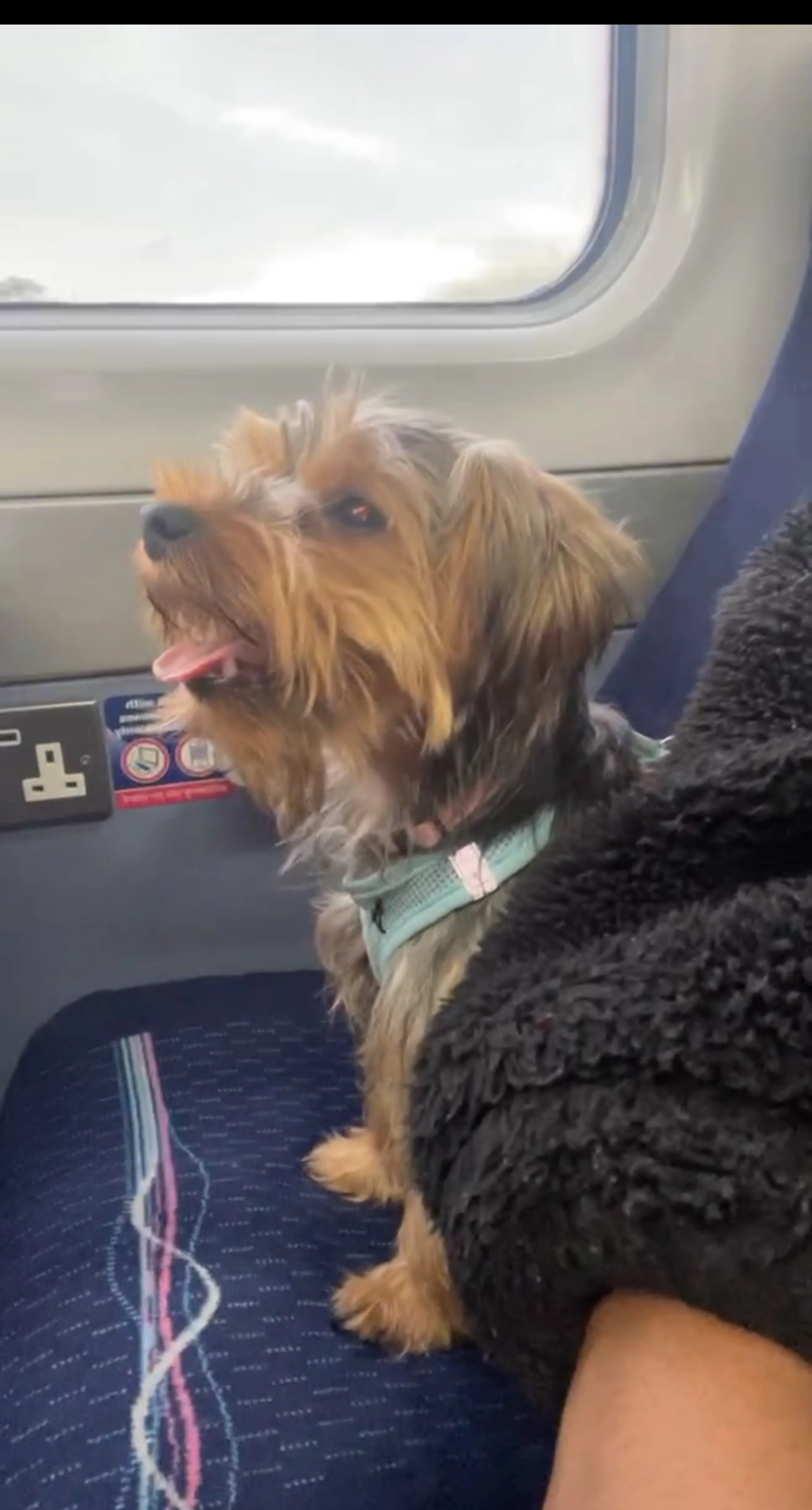 Bailey  - Caradon Way, London