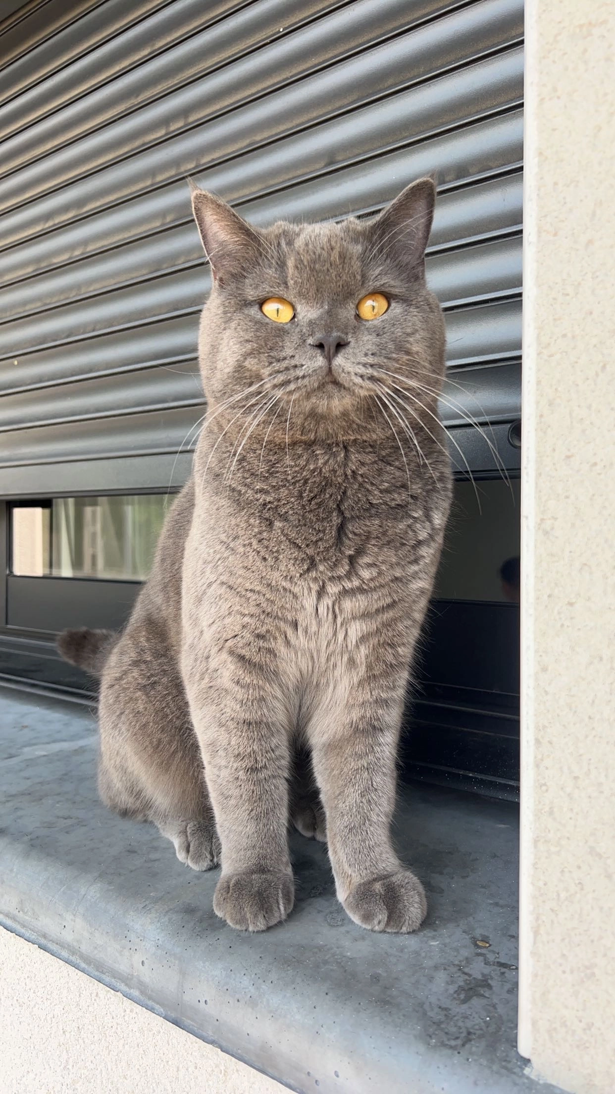 Shakir - 141 Rue Jean Prévost, Bourg-lès-Valence