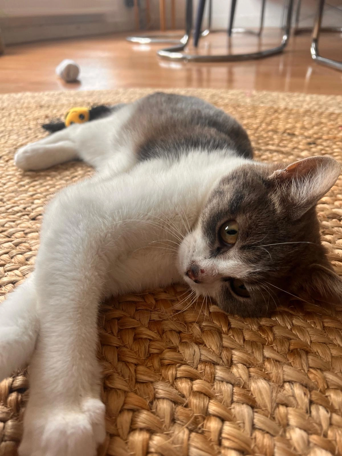 Sjimmie - Jan Evertsenstraat, Amsterdam