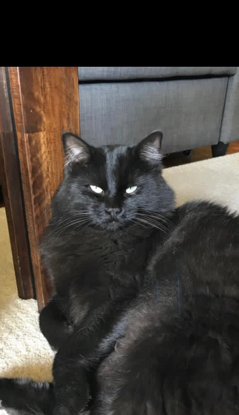 Lune - Chemin de Publoz 38B, Puidoux