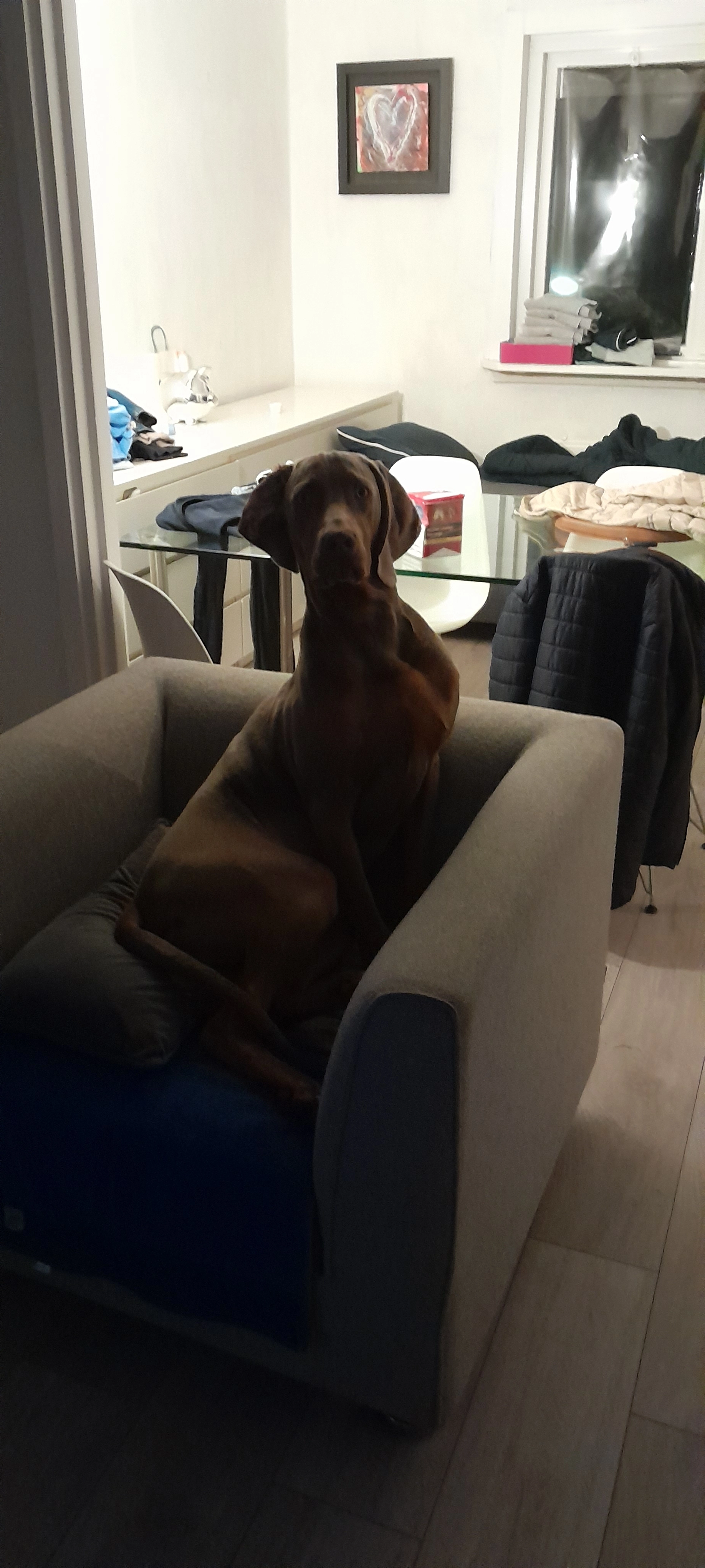 Ben  - Gladiolenstraat, Enschede