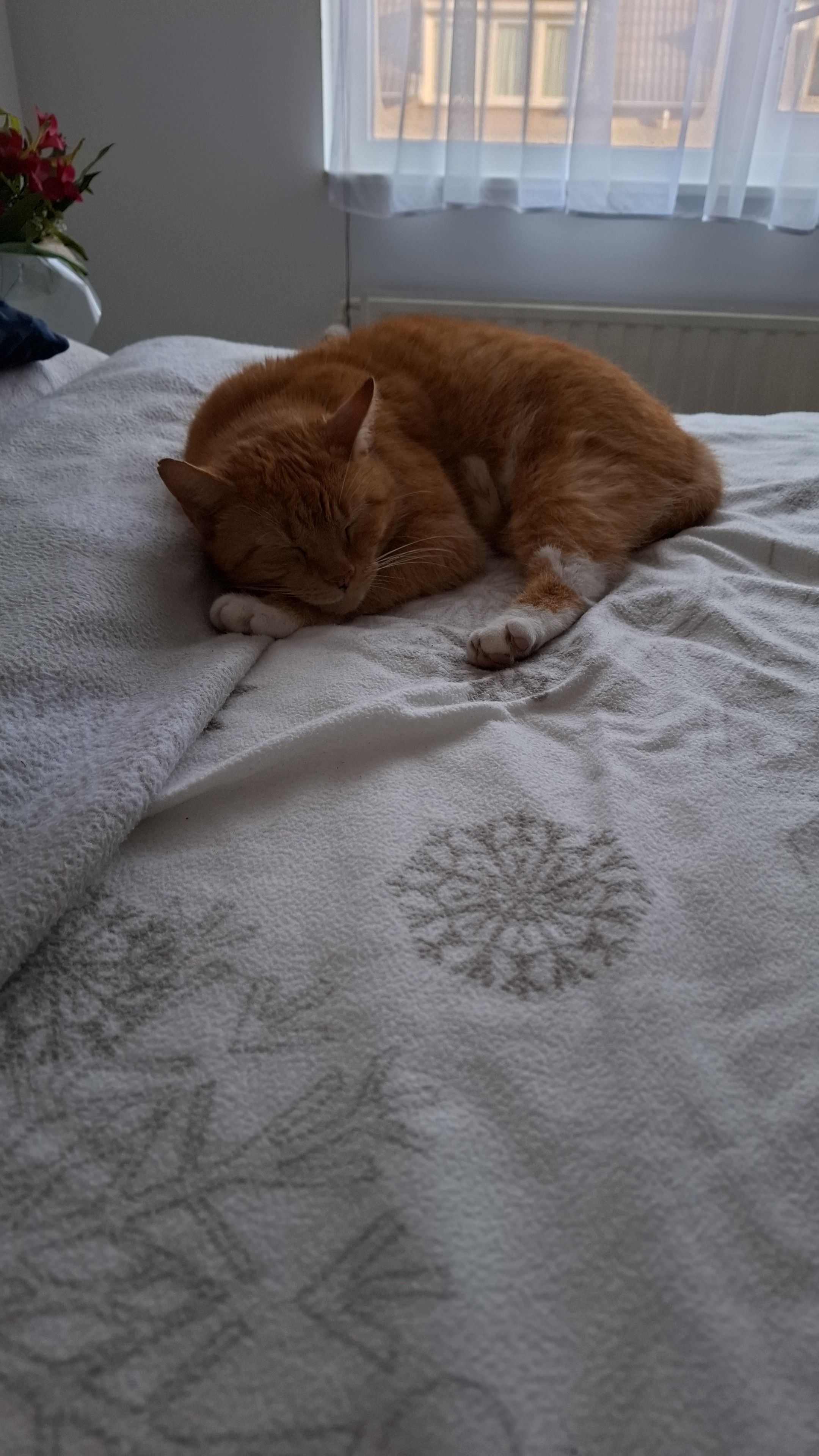 Maniek  - Parkplatz, Radeberg