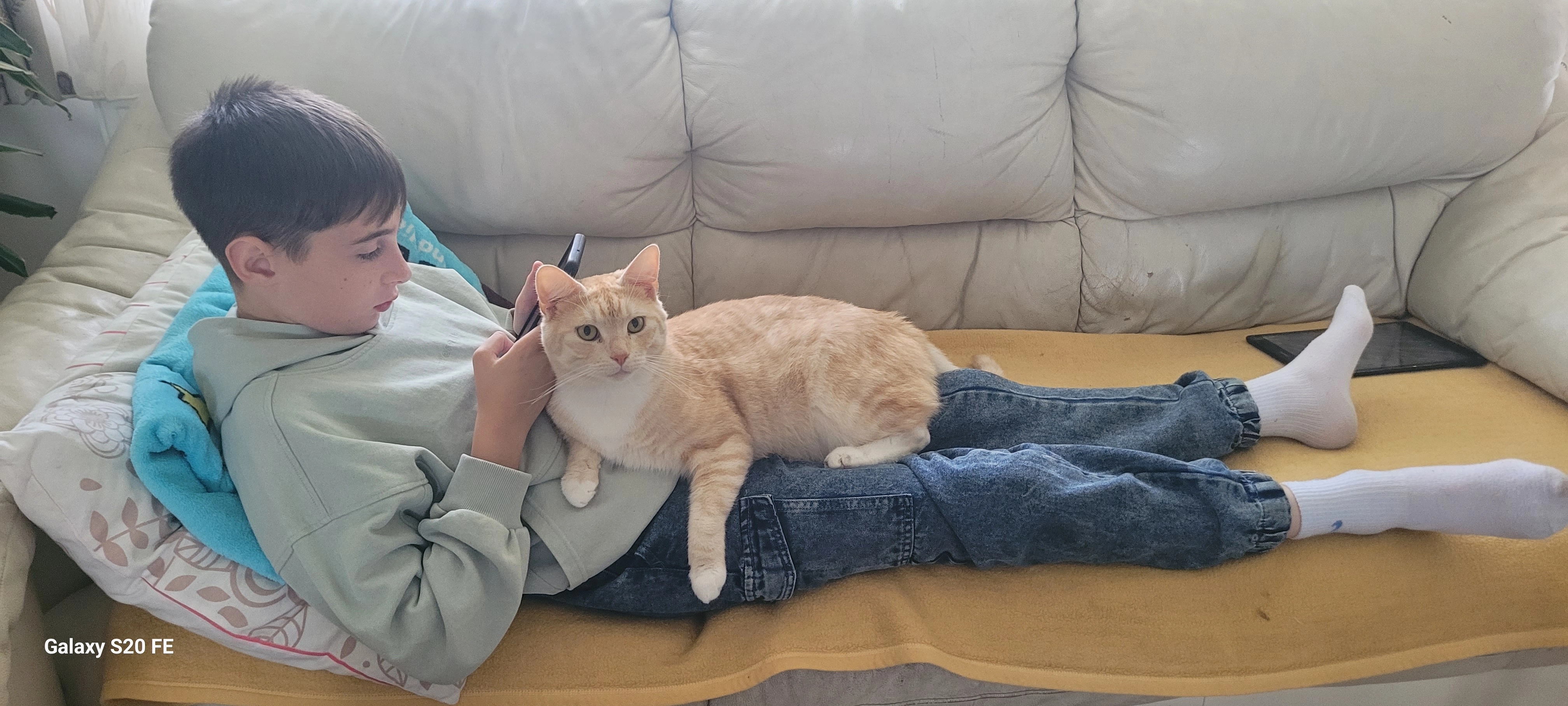 Tom - Norderneyer Straße, Papenburg