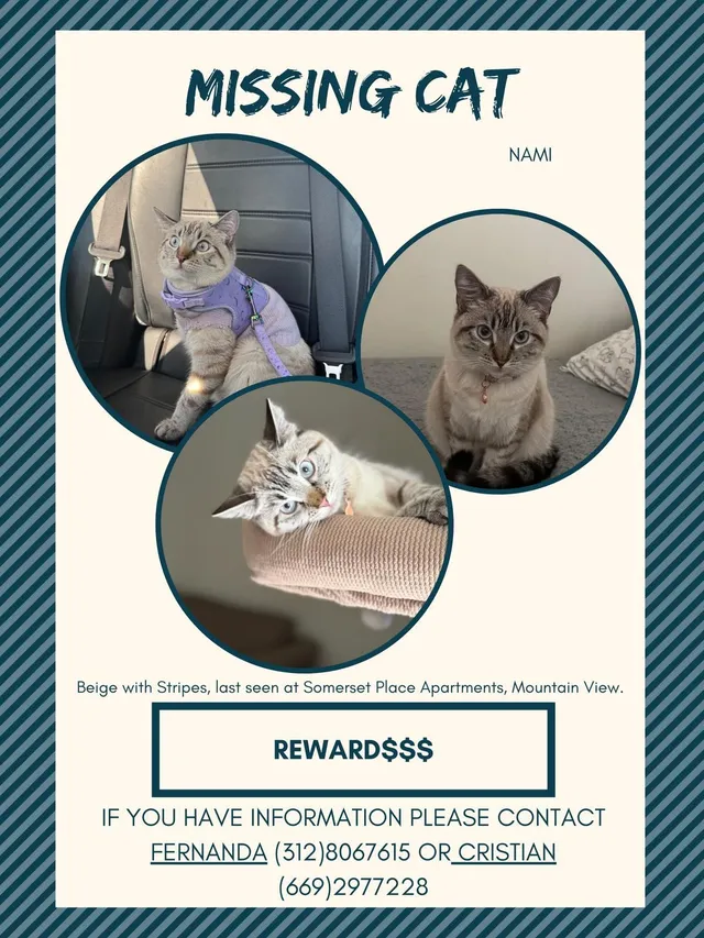 Nami - 2210 Rock St, Mountain View