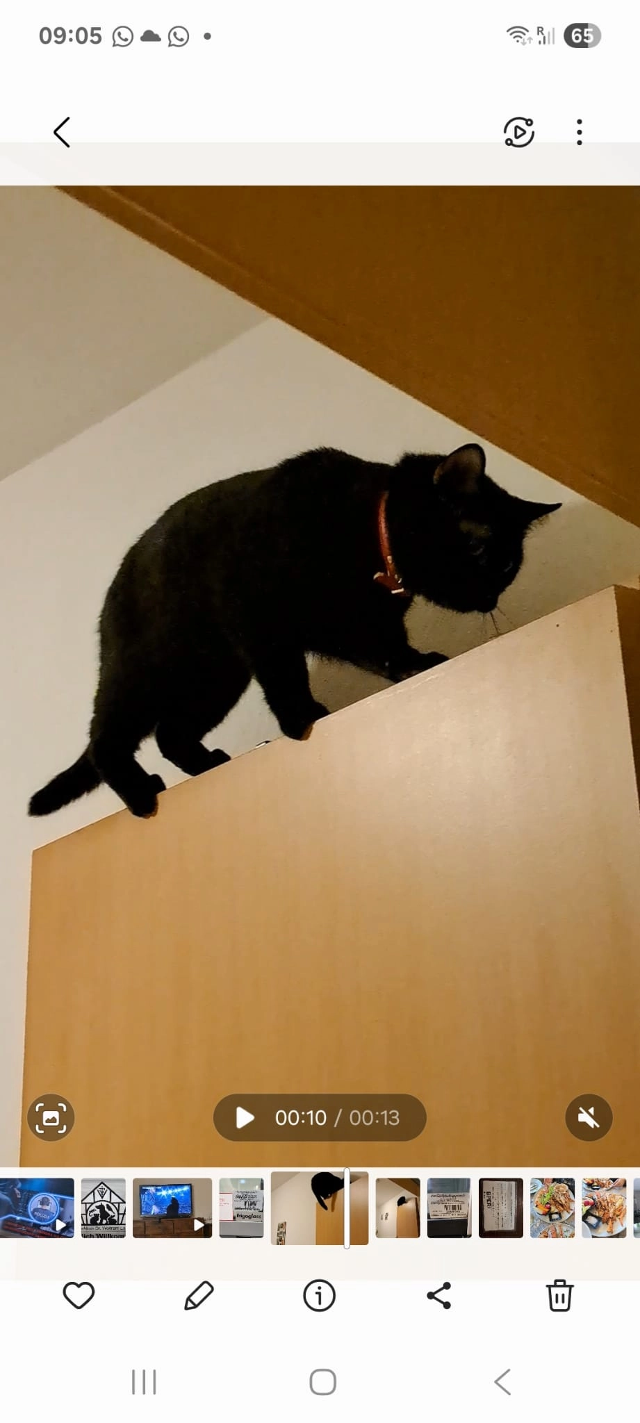 Mirtillo - Glindfelder Weg, Medebach