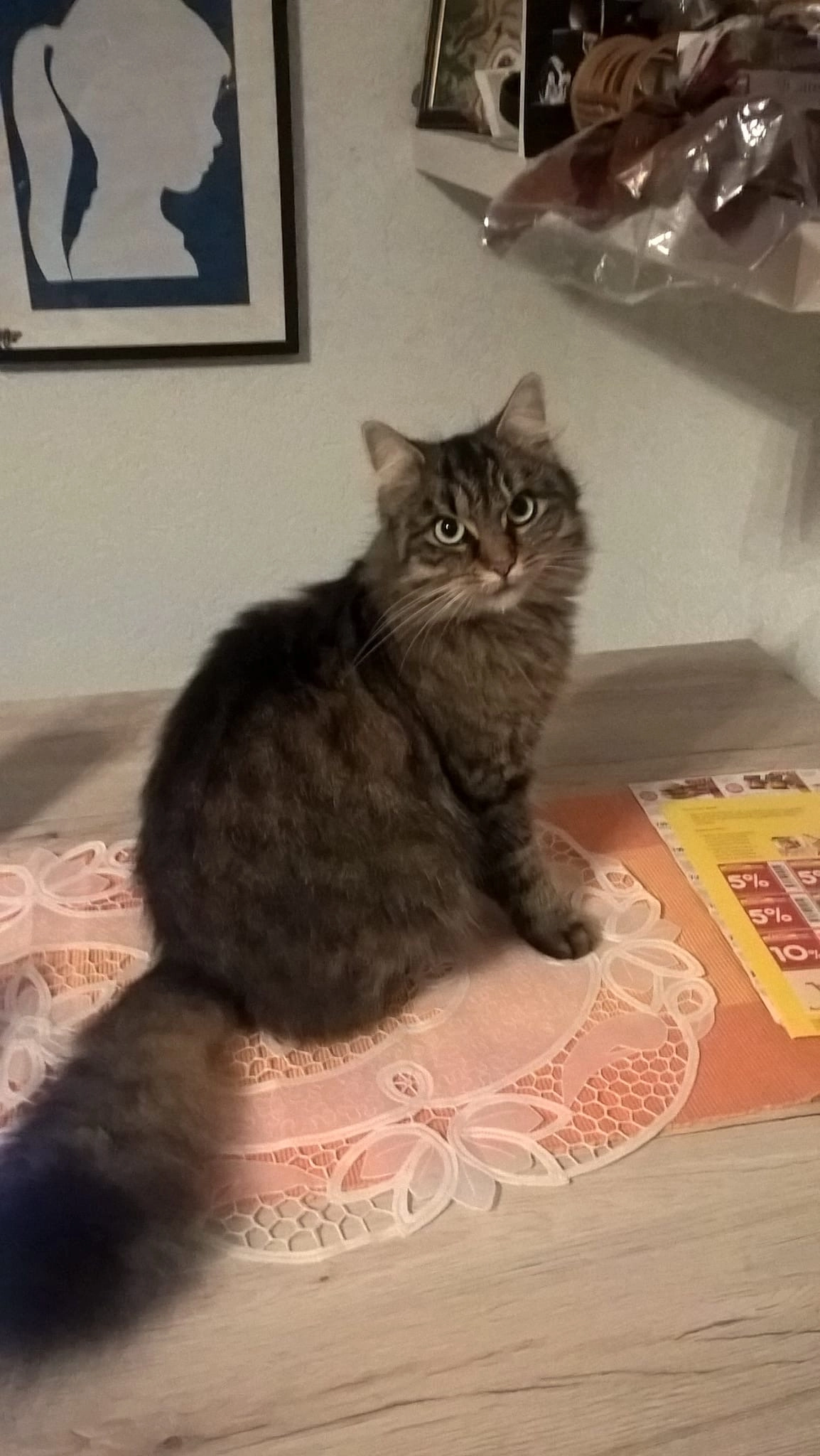 Suki - Licher Straße, Grünberg