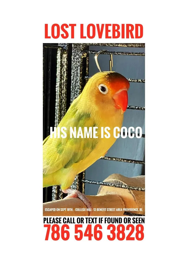 Coco - Benefit Street, Providence