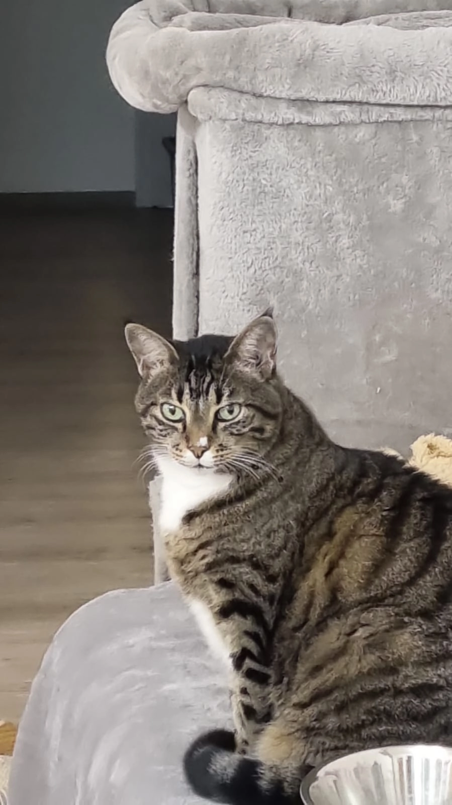 Trixi - 87675, Stötten am Auerberg