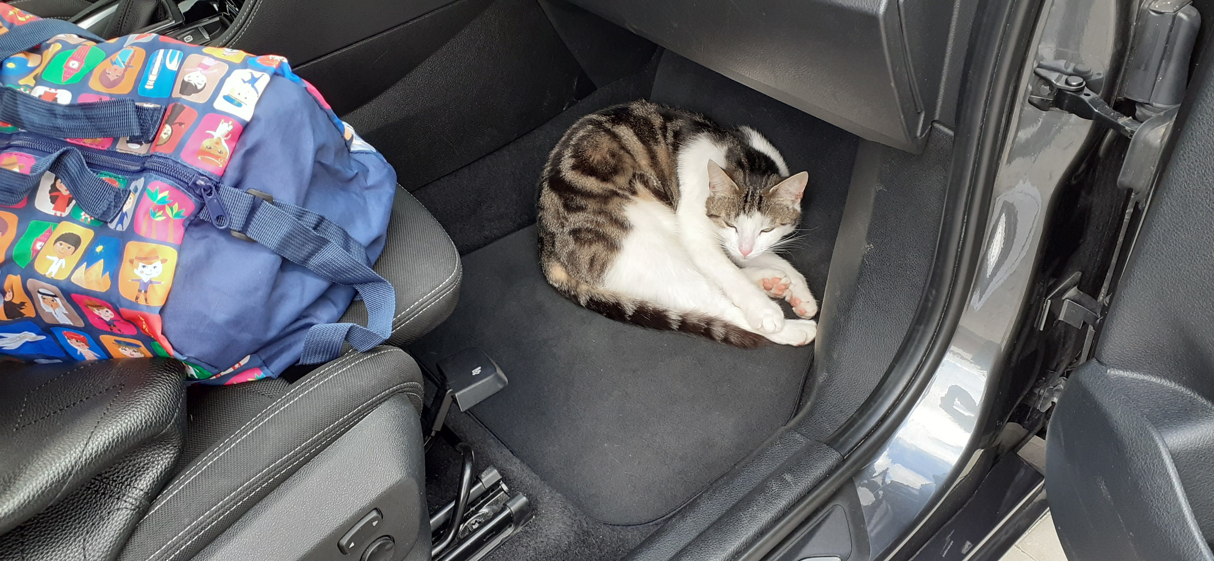 Maya - Wilhelm-Richter-Straße, Marktsteft