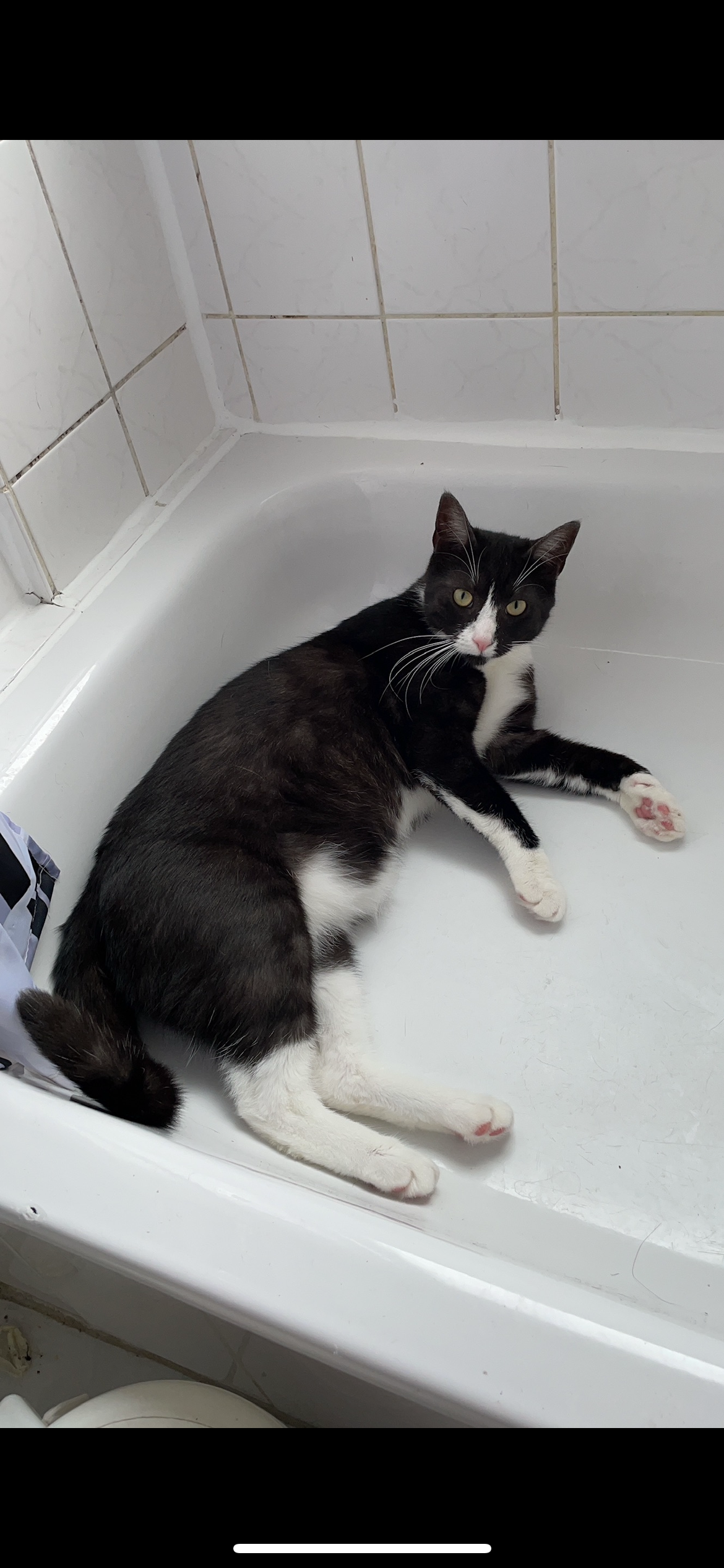 Monty - Moorhof, Bad Fallingbostel