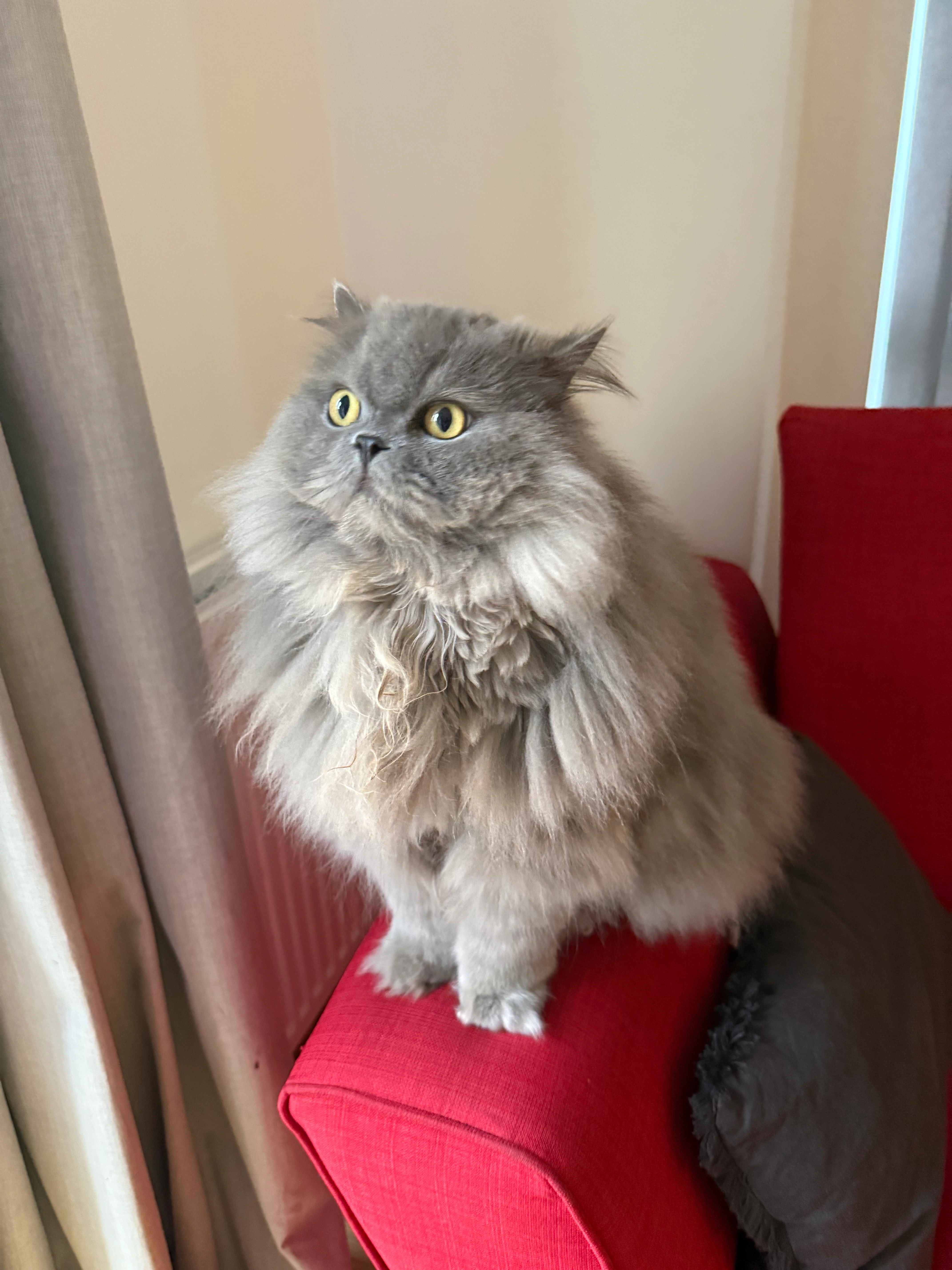 Kabuki  - 2 Barnes Way, Cheadle