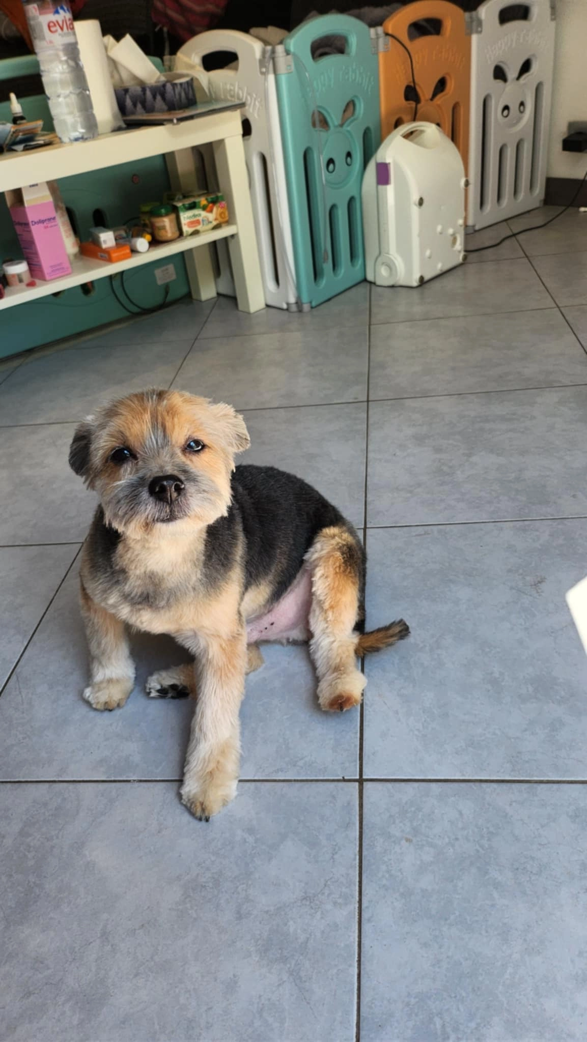 Gin - 1 Villa Auguste Vermorel, Évry-Courcouronnes