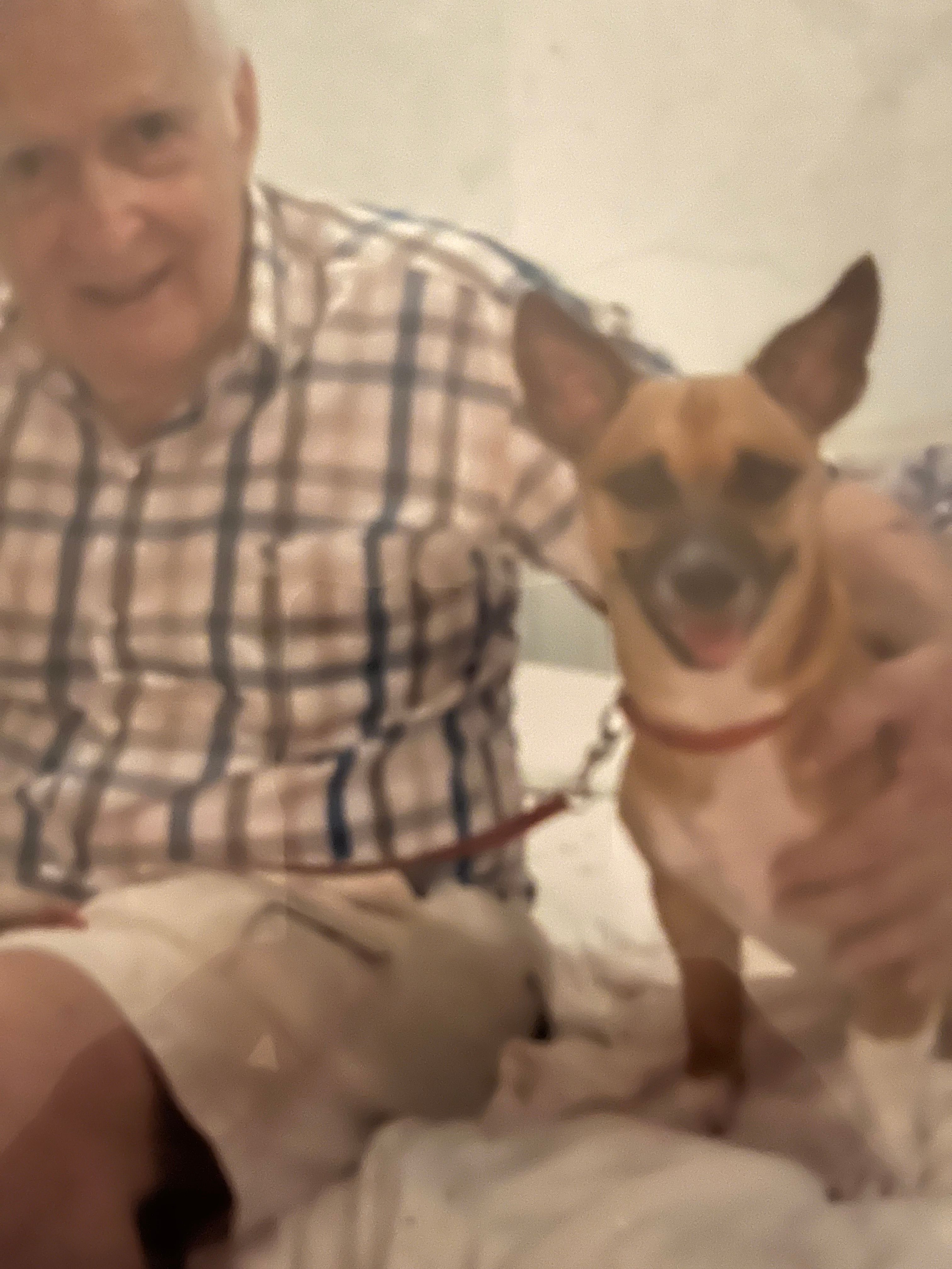 Pepsi - 171204, Siem Reap Municipality