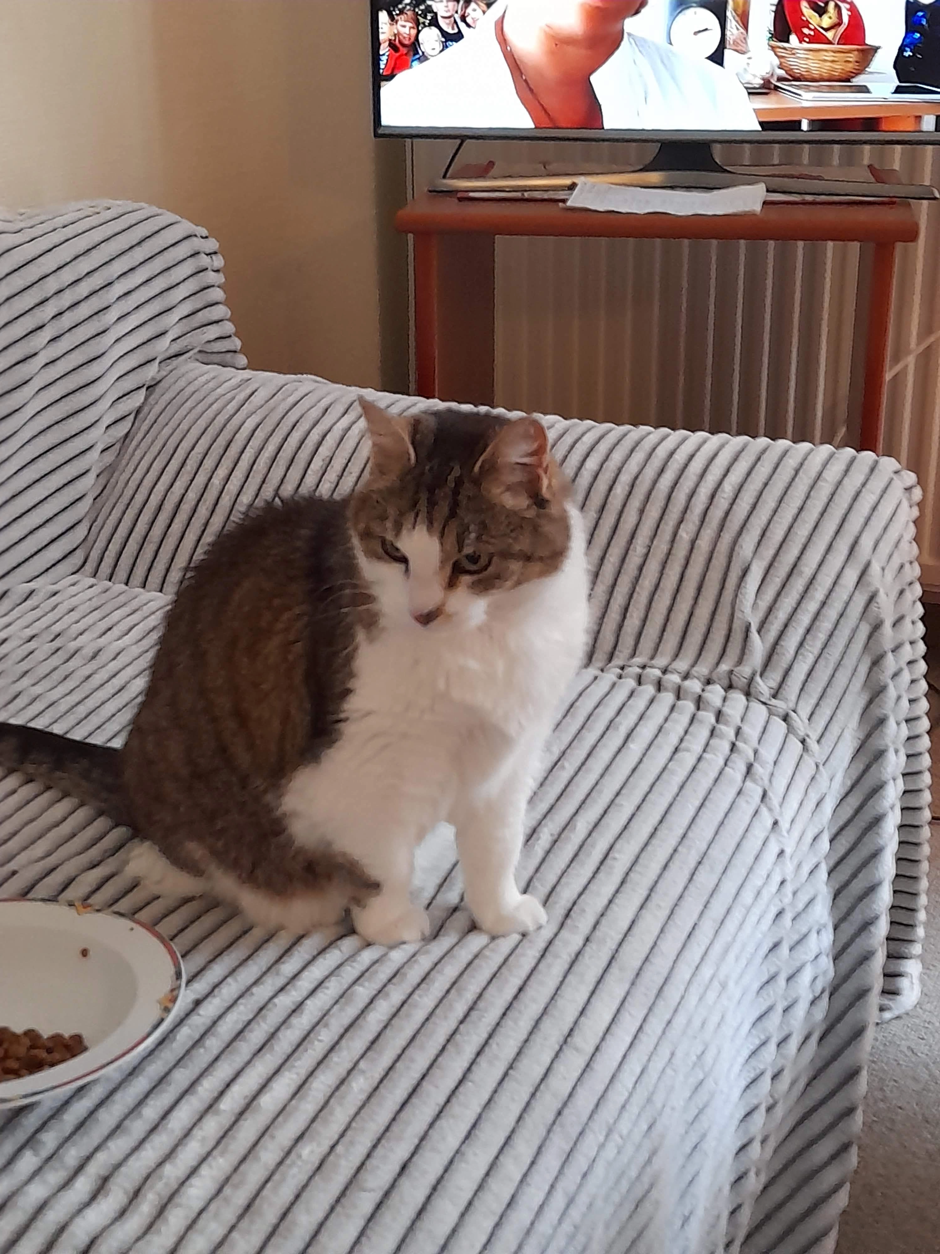 Minka - Klein Berßener Straße, Groß Berßen