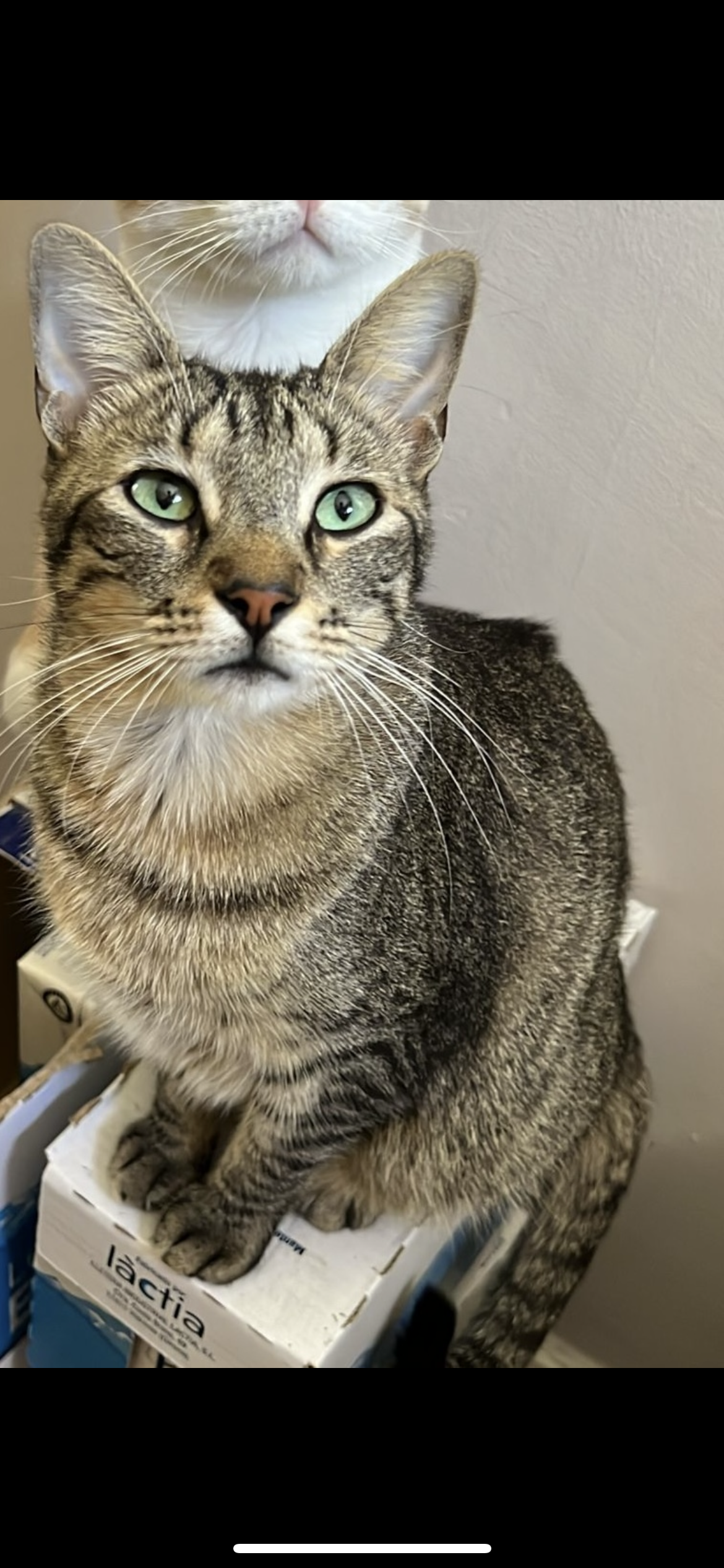 Jimmy  - Grup Vint-I-Cinc De Setembre, Rubí