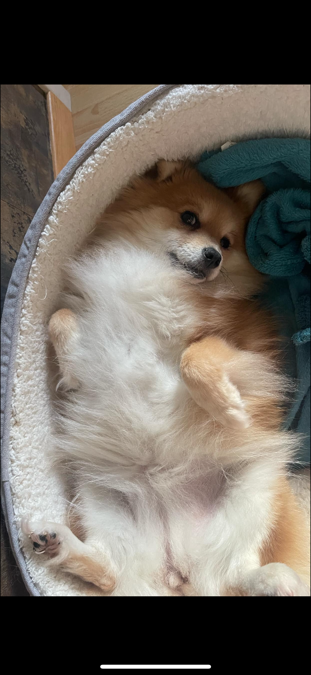 nelle - 500 Route du Lac, Montriond