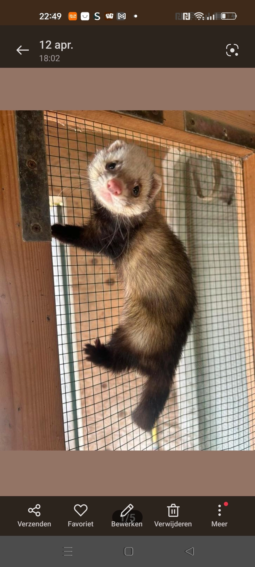 Loki - Piepersweg, Gelderland