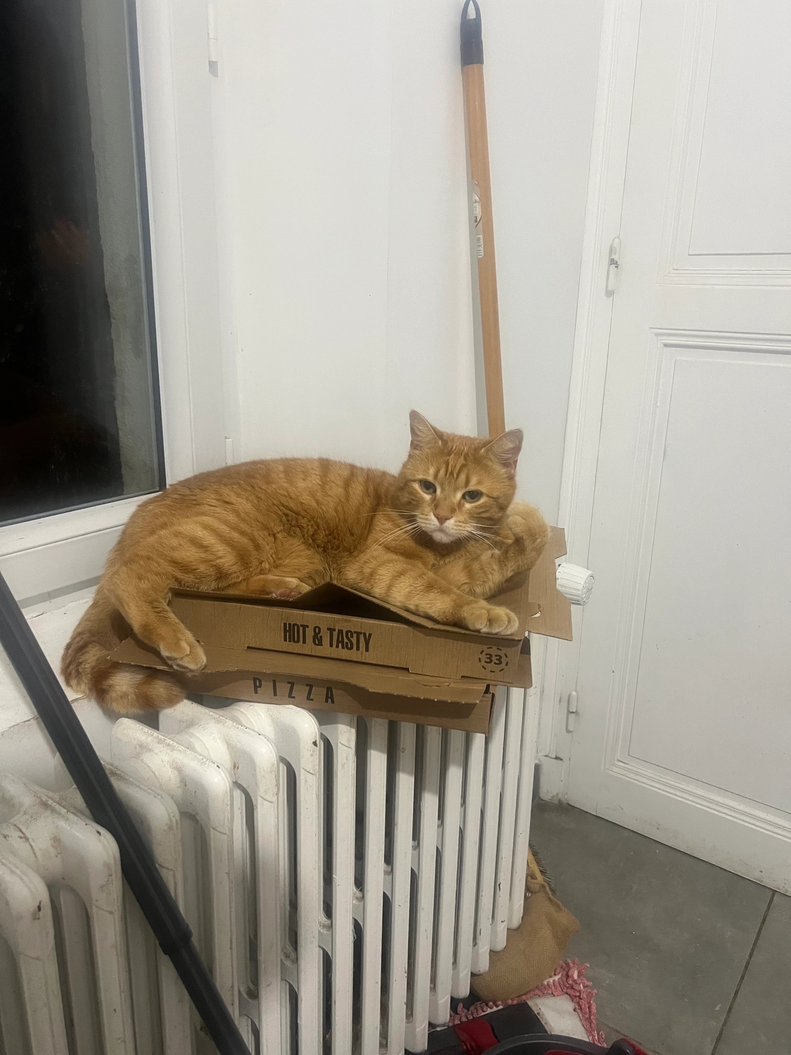 Capone  - 38 Rue de la Rochette, Évreux