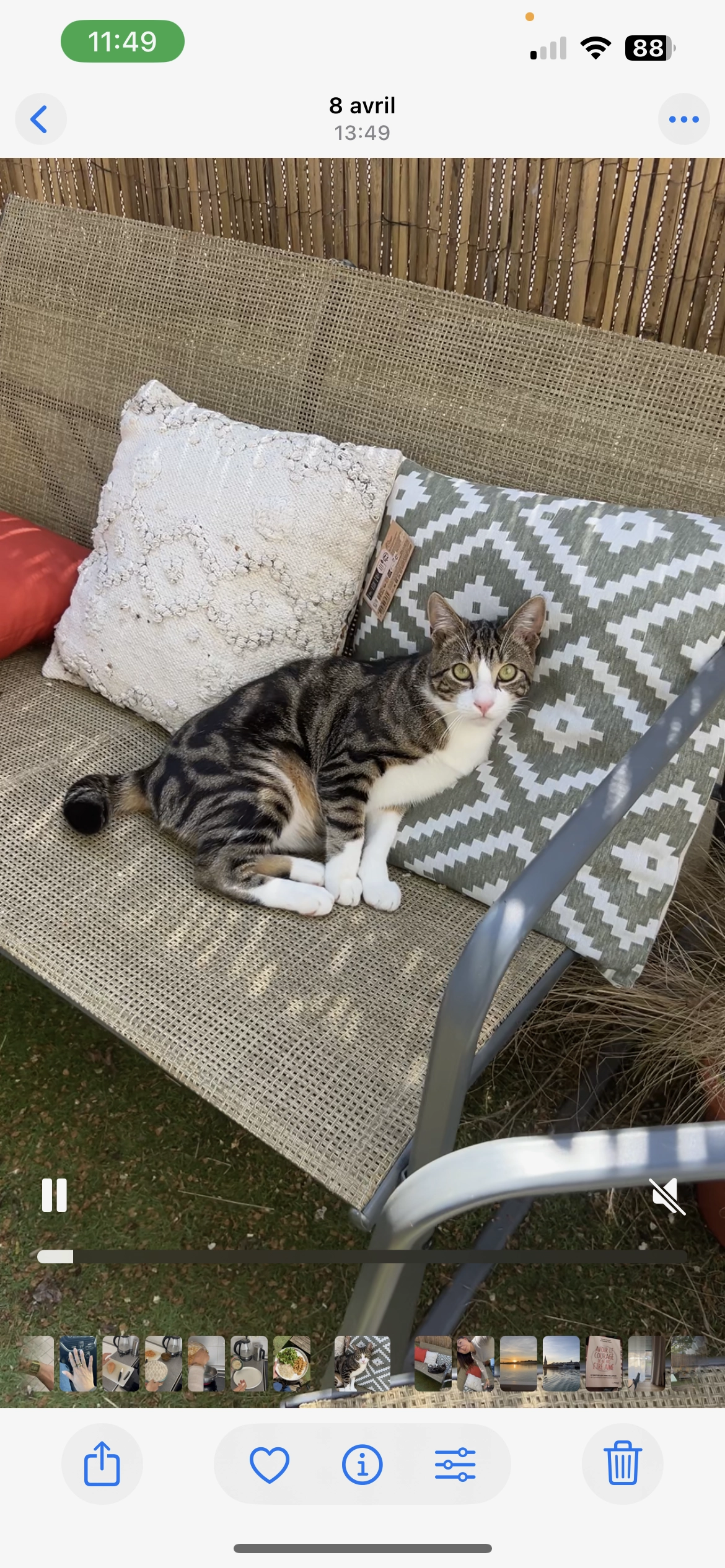 Volki  - Allée du Gaillard, Aytré