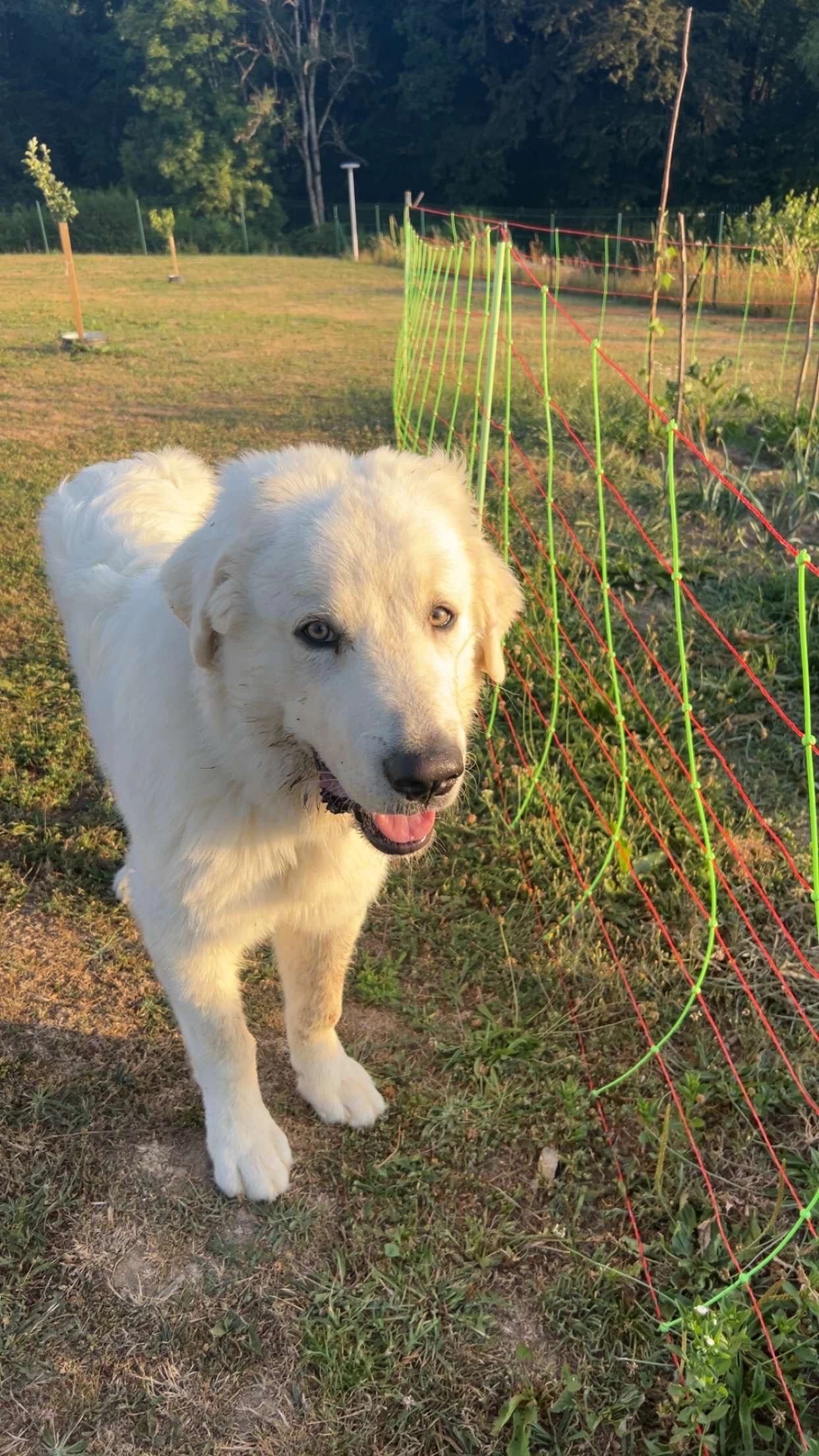 Aïko - Le Maspied, Soudeilles