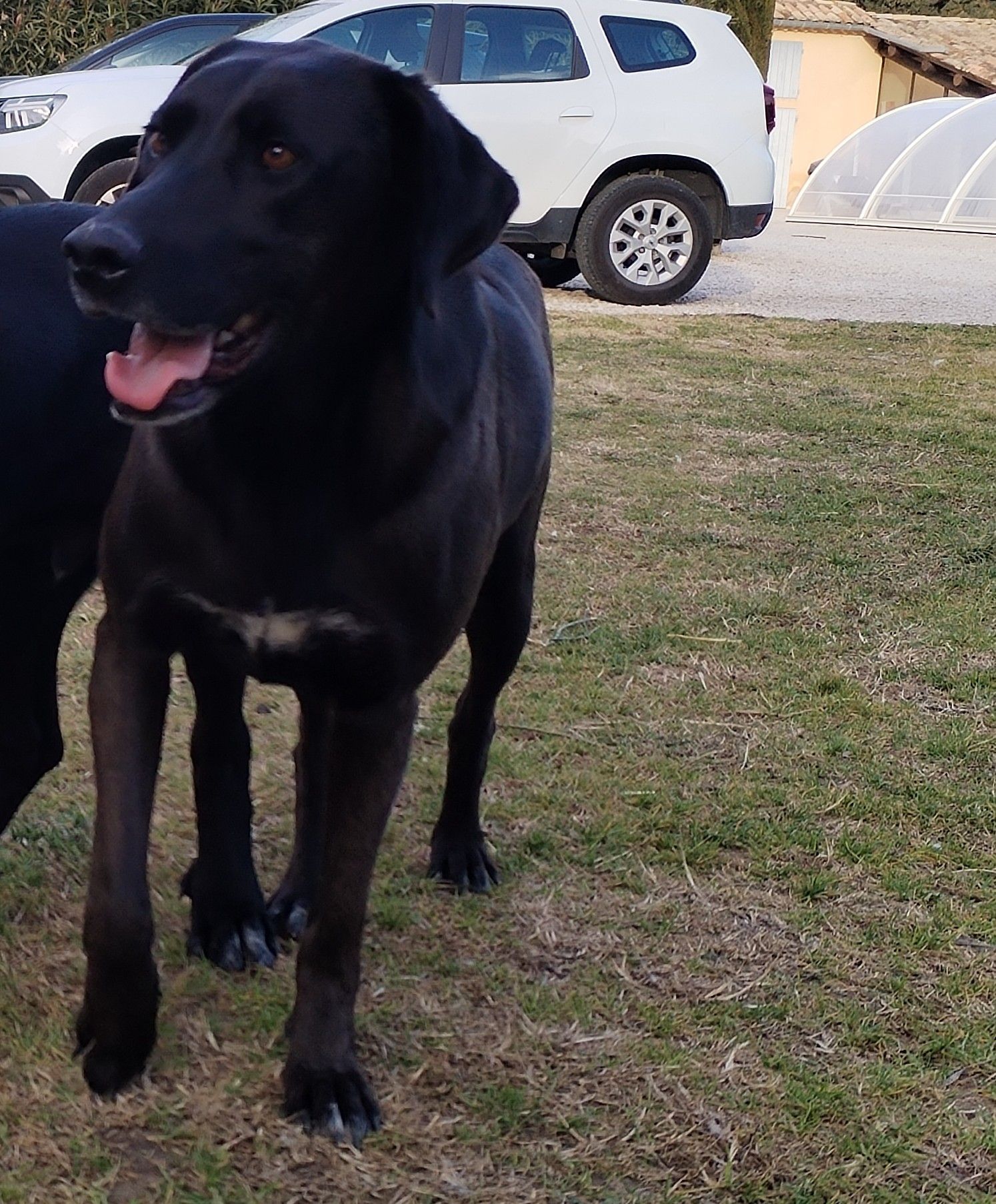 Caramelle  - 3450 Route de Cairanne, Travaillan