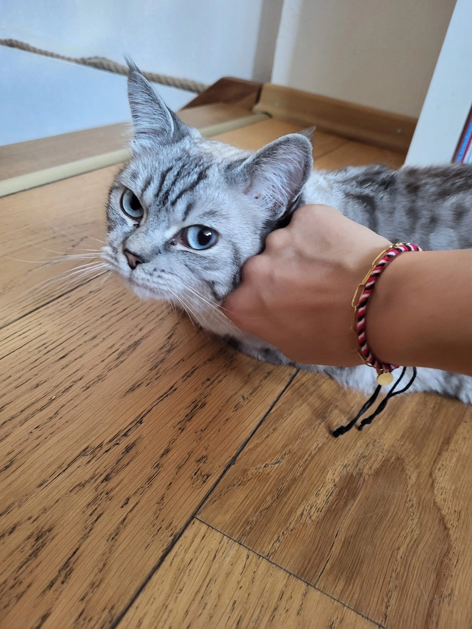 Tinki - Hartlebenweg, Clausthal-Zellerfeld