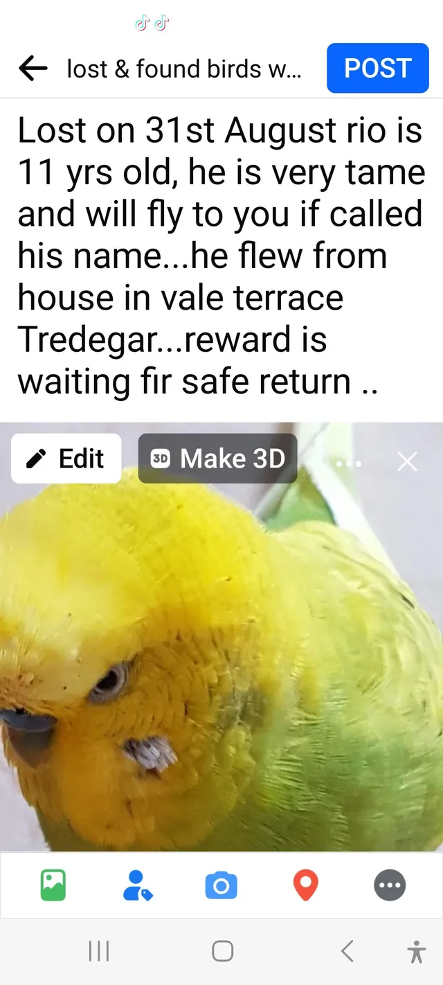 Rio - 59 Vale Terrace, Tredegar
