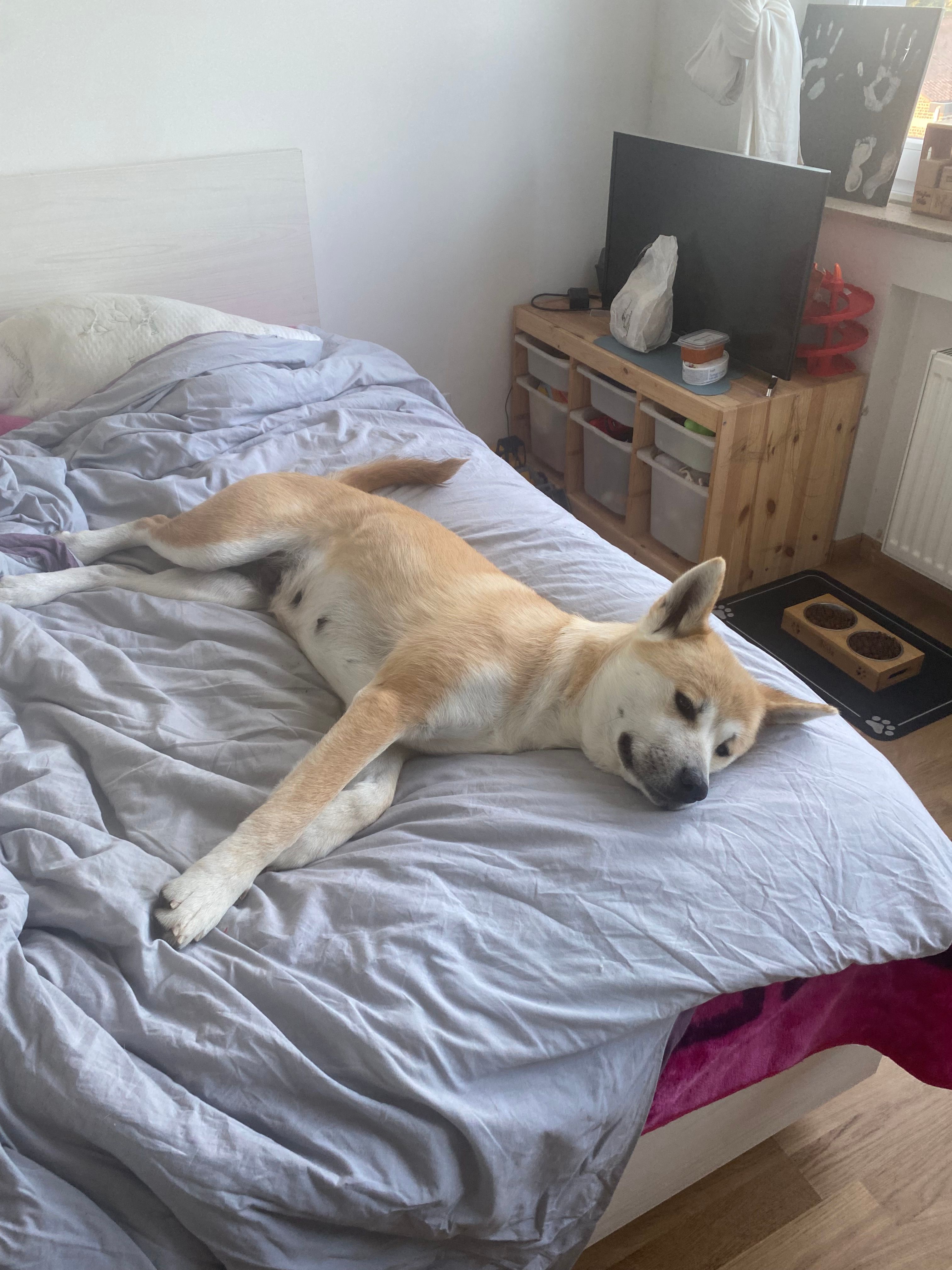 Nala - Fabriekstraat 72, Sint-Pieters-Leeuw