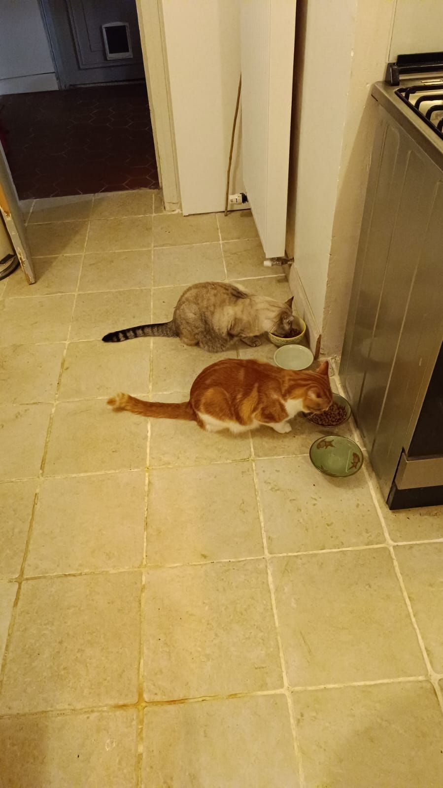 Ron - Place De La Mairie, Auros