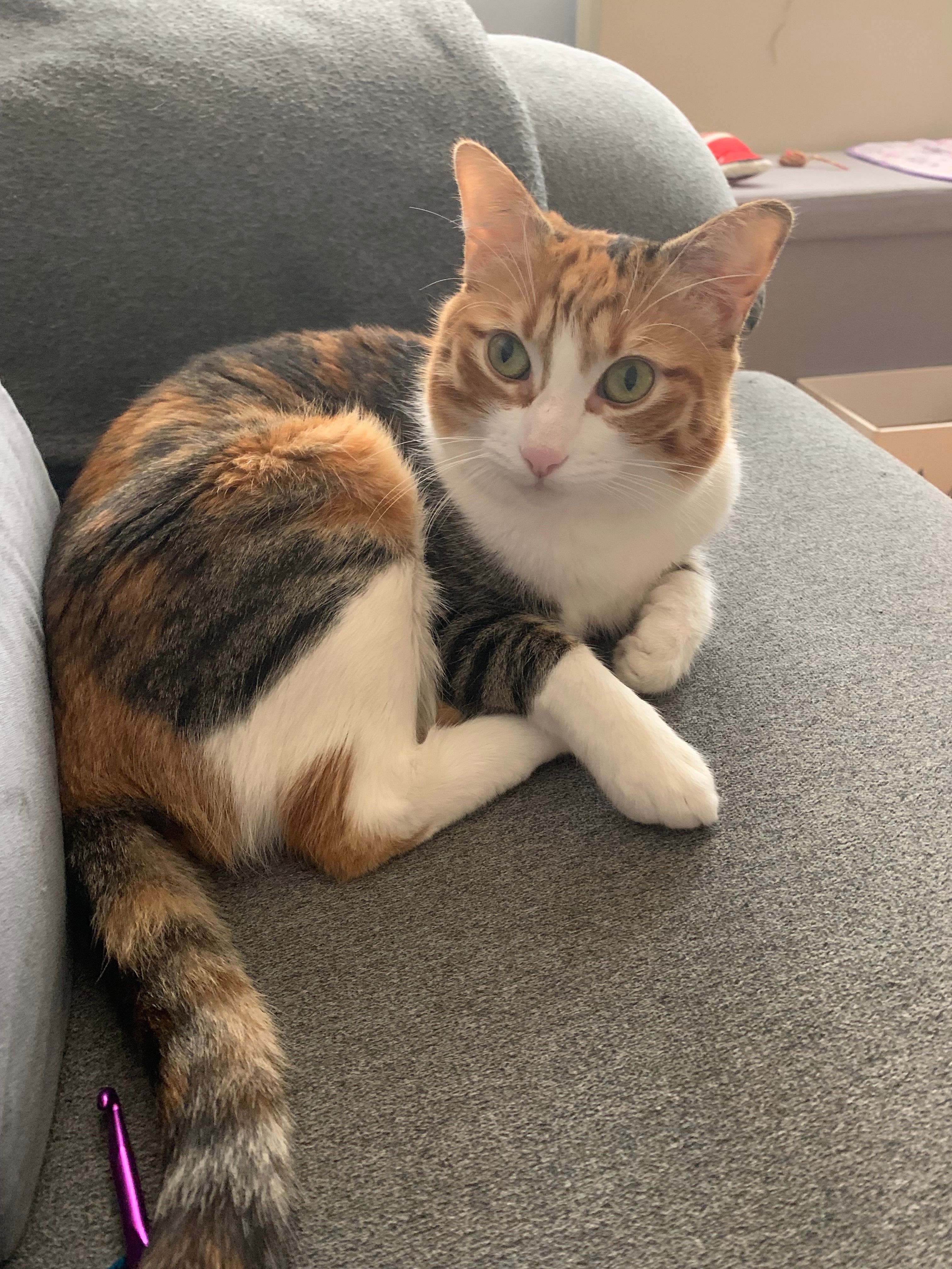 Sia - Calle Dolores, Gijón