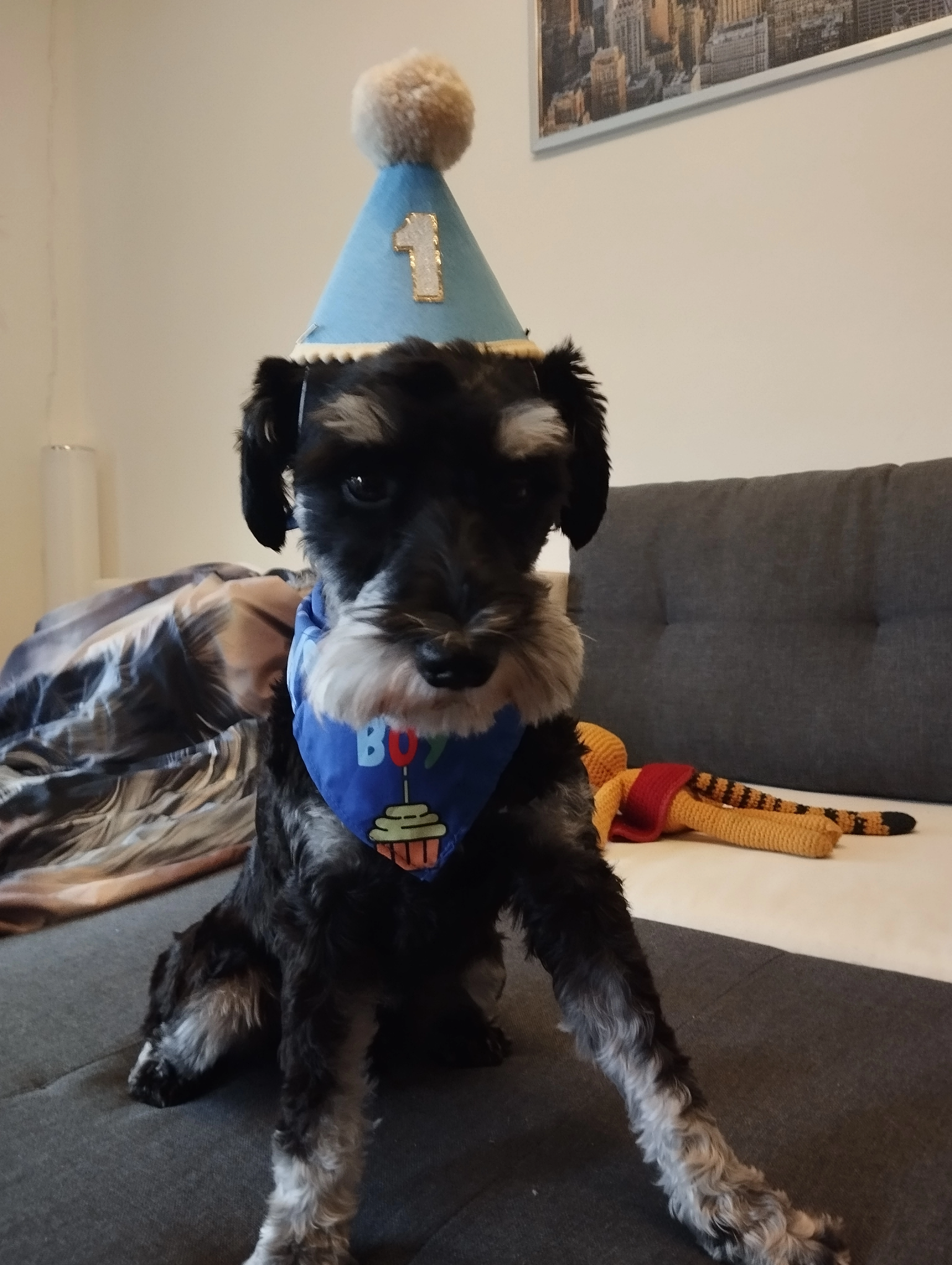 Lucky  - Gustav-Hirschfeld-Ring, Coburg