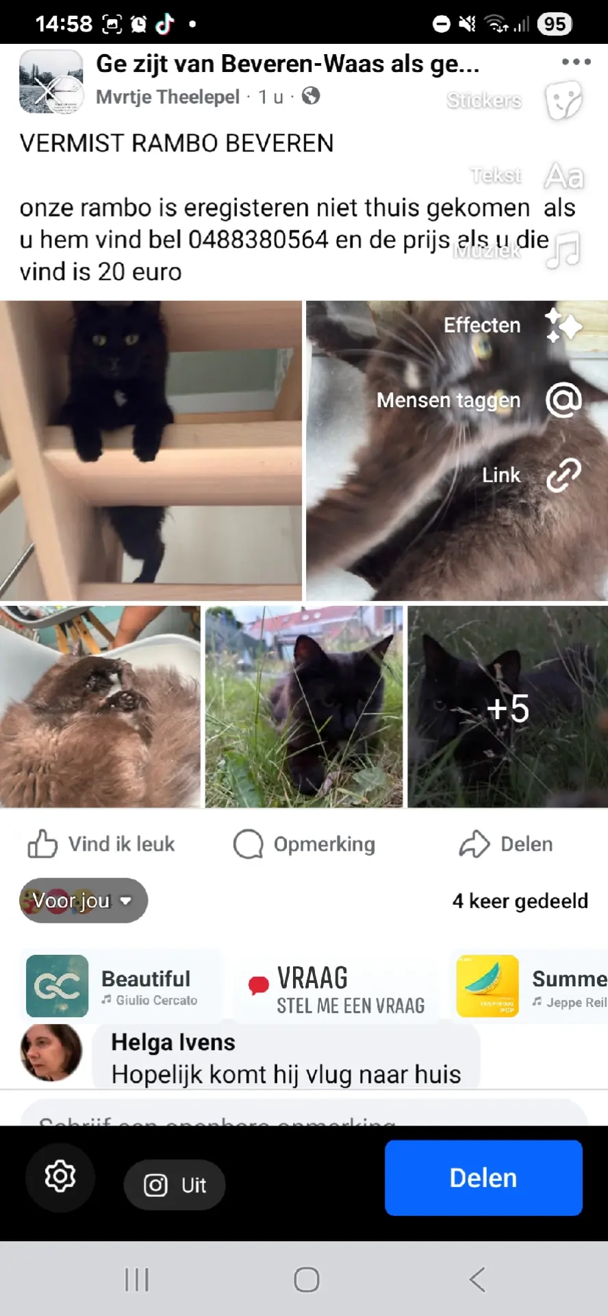 Rambo - Onze-Lieve-Vrouwstraat 65, Beveren-Kruibeke-Zwijndrecht