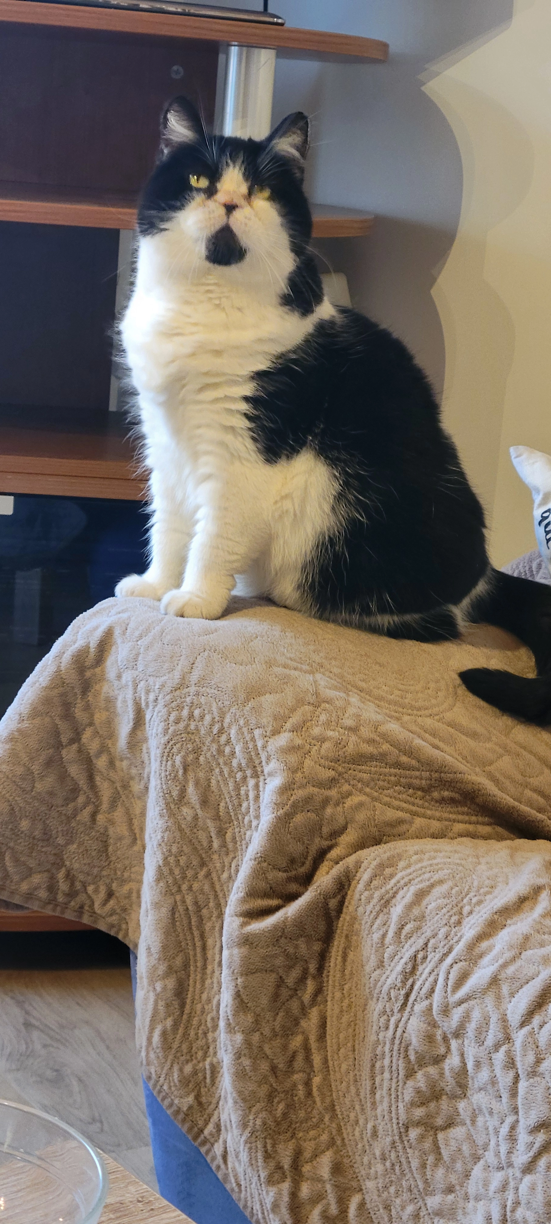 Ebene  - La Goutte Bois Dieu, Bagnols