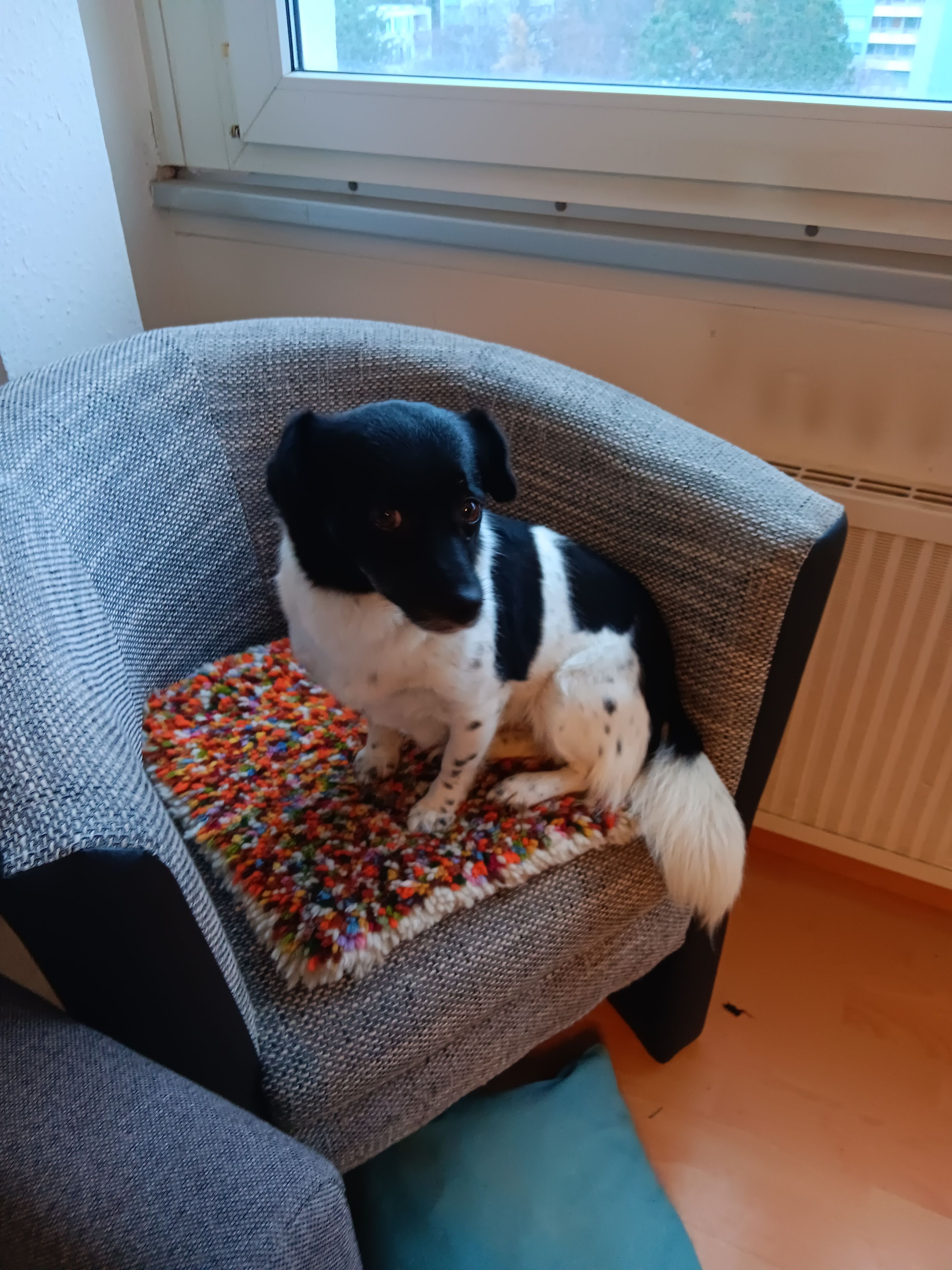 Mascha  - Krozinger Straße, Freiburg im Breisgau