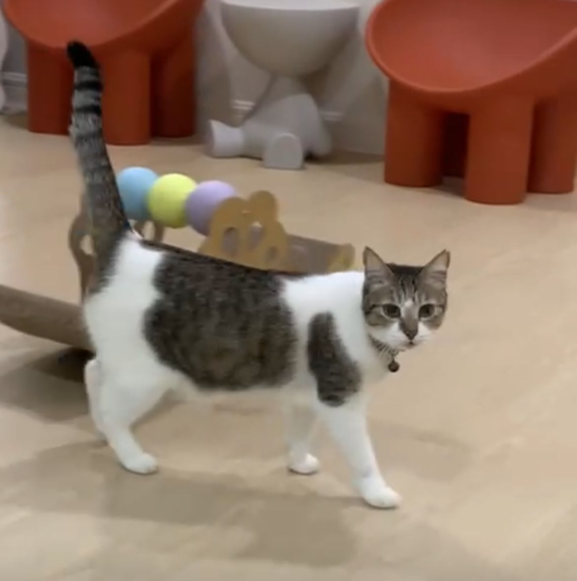 Talia - 53100, Kuala Lumpur