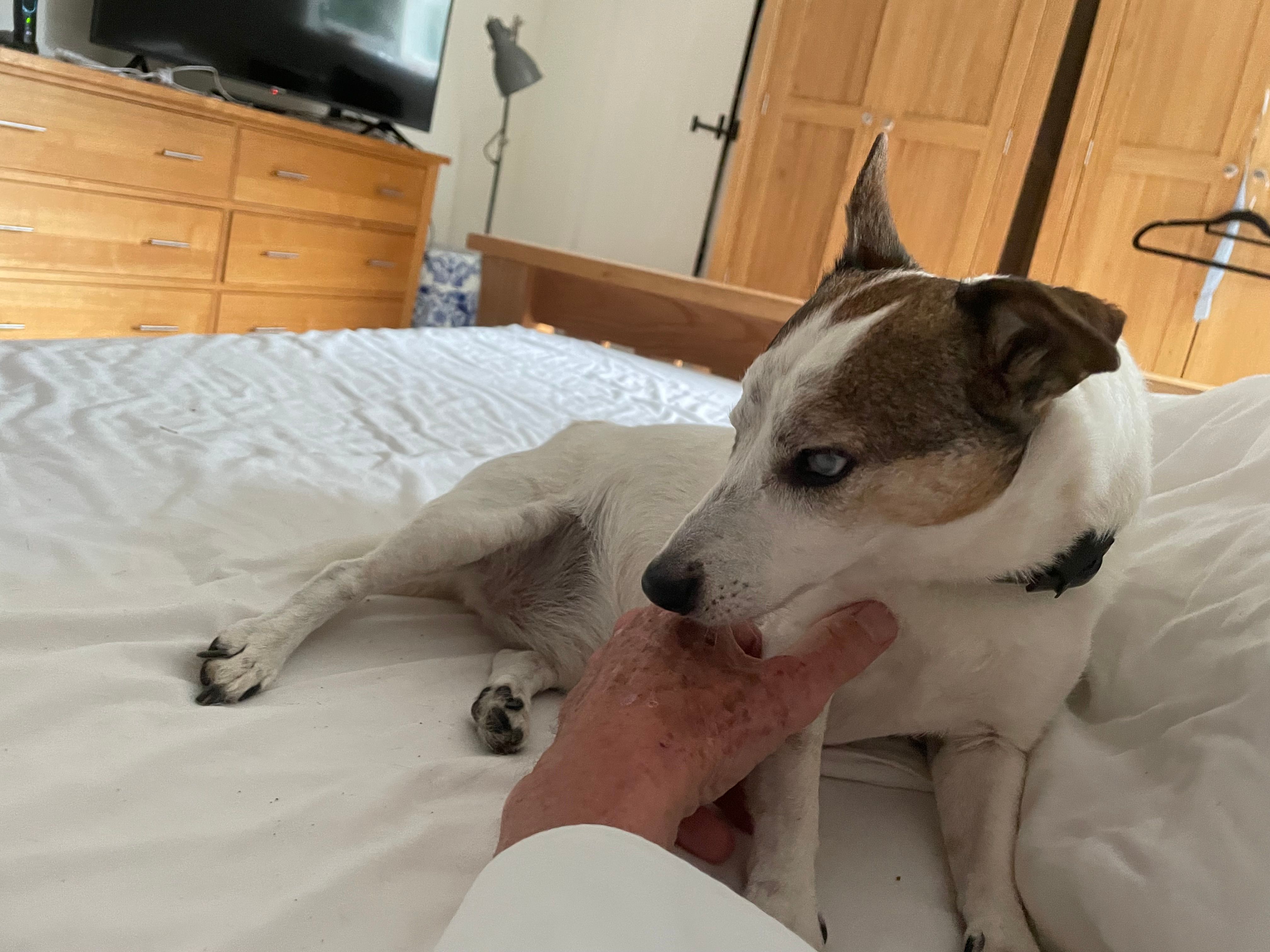 Phoebe - OX49 5HG, Watlington