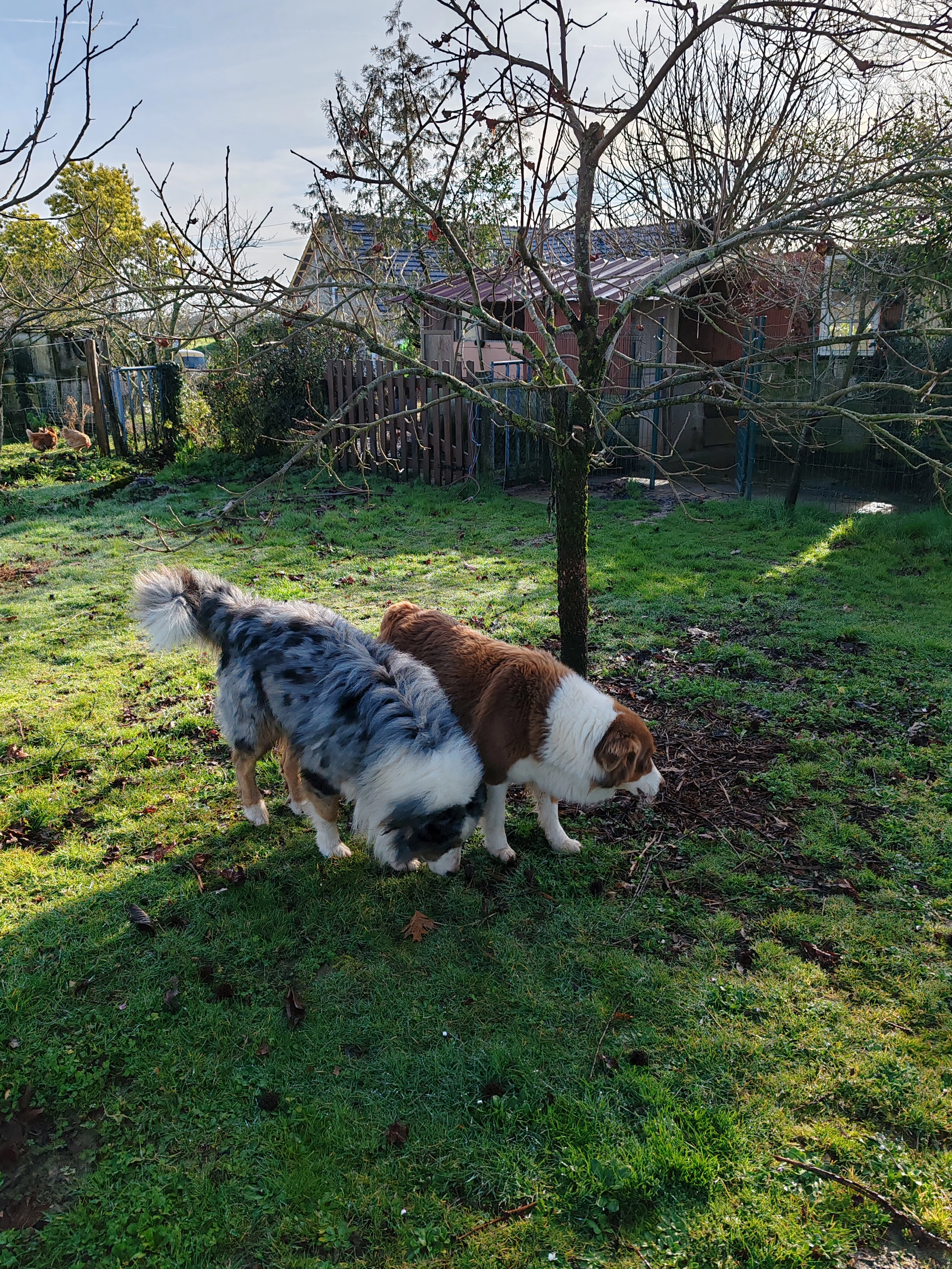 Takos et Tekila  - 1 Chemin de l'Église, Fichous-Riumayou