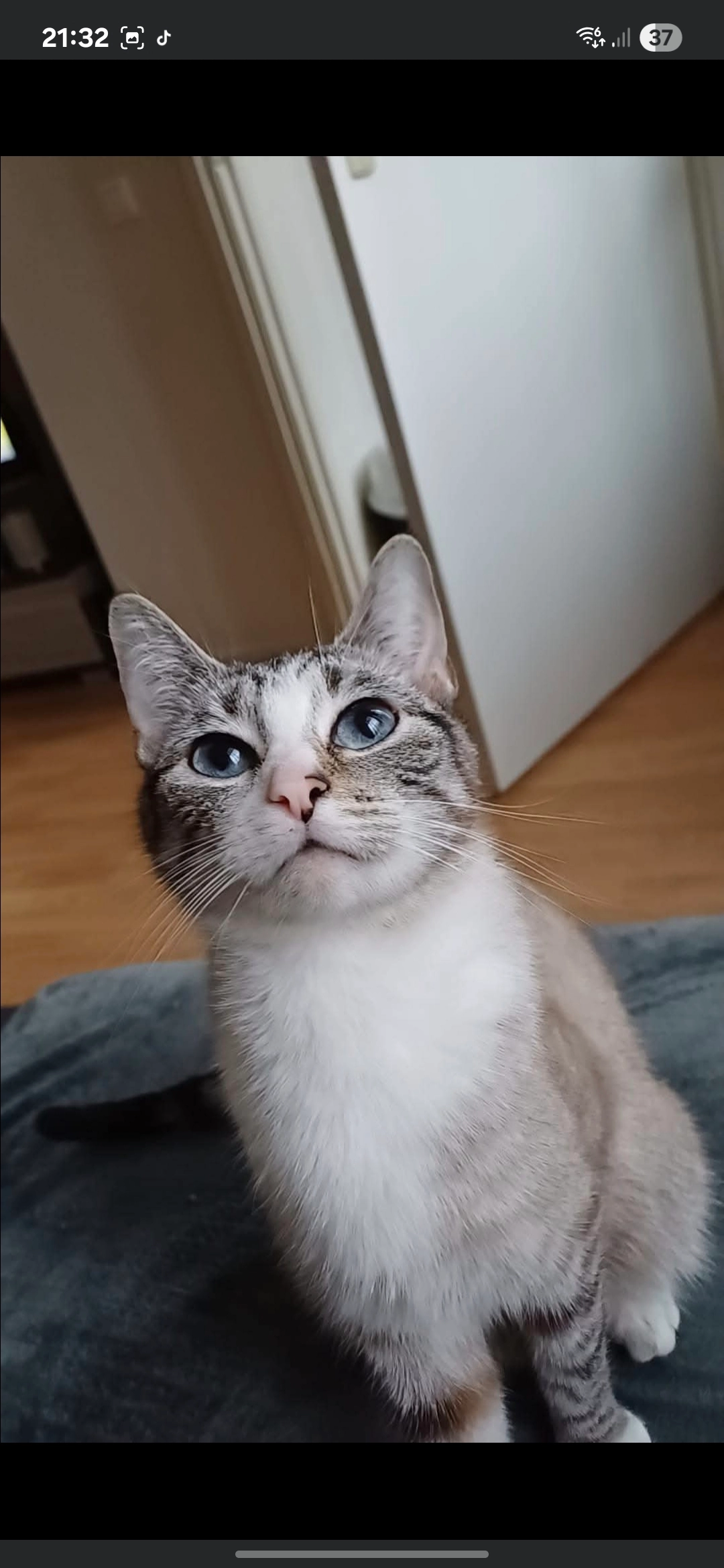 Bella - Burgemeester Vlaskampstraat, Sint-Annaparochie