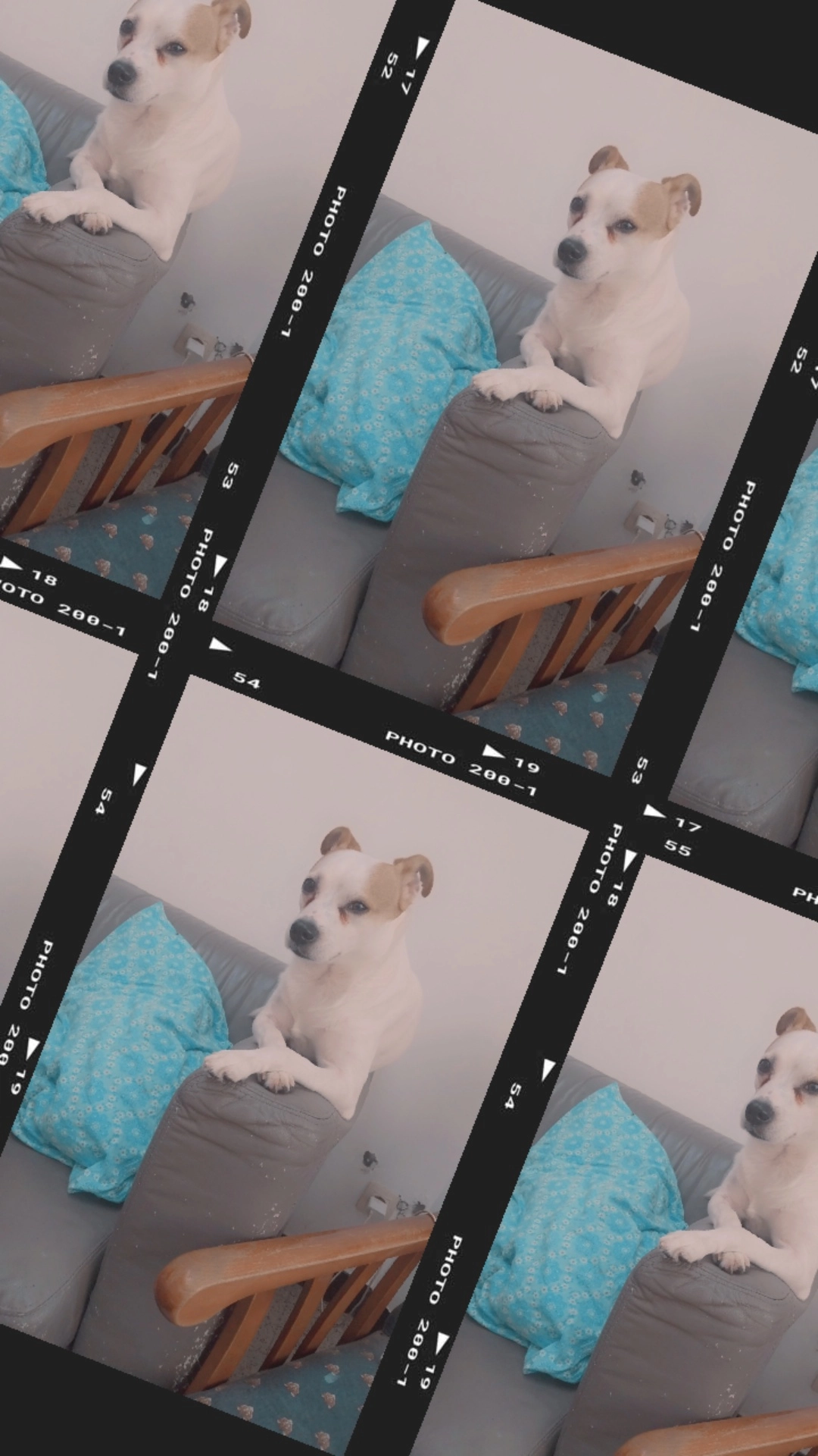 Leo - Avenue Du Centenaire, Morlanwelz