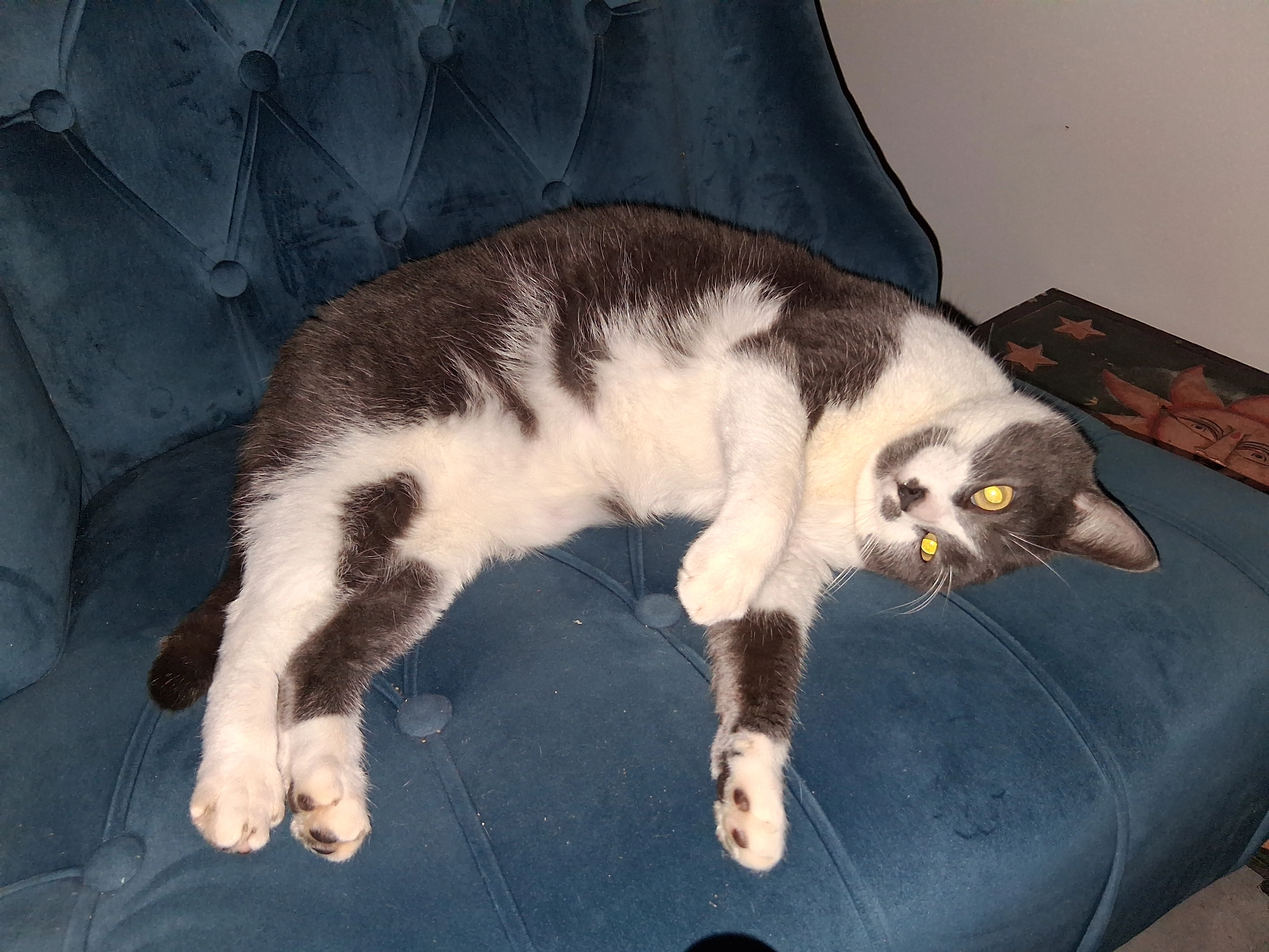 Marvel  - Rue du Thouet, Missé