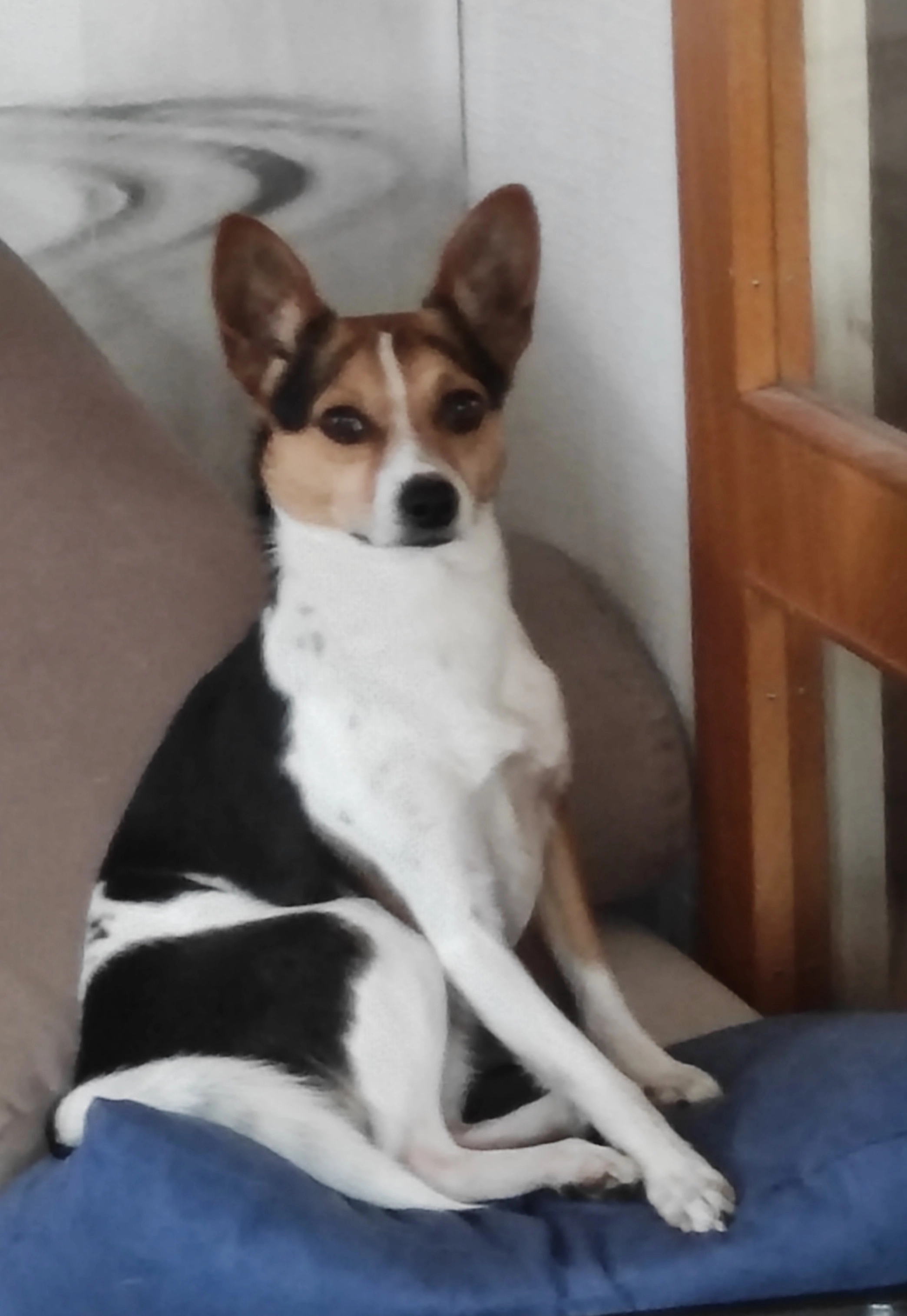 Duoduo (多多) - Näsgatan 4, Johannedal