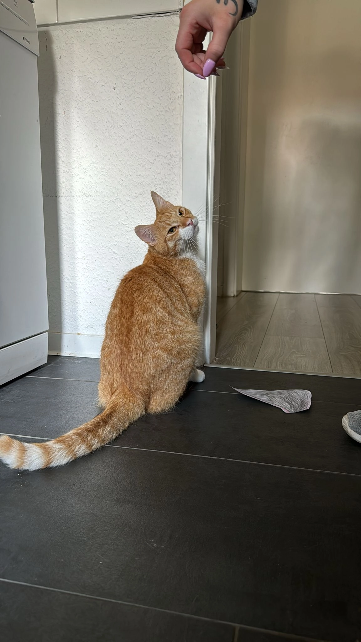 Lenny - Muncloh, Munster