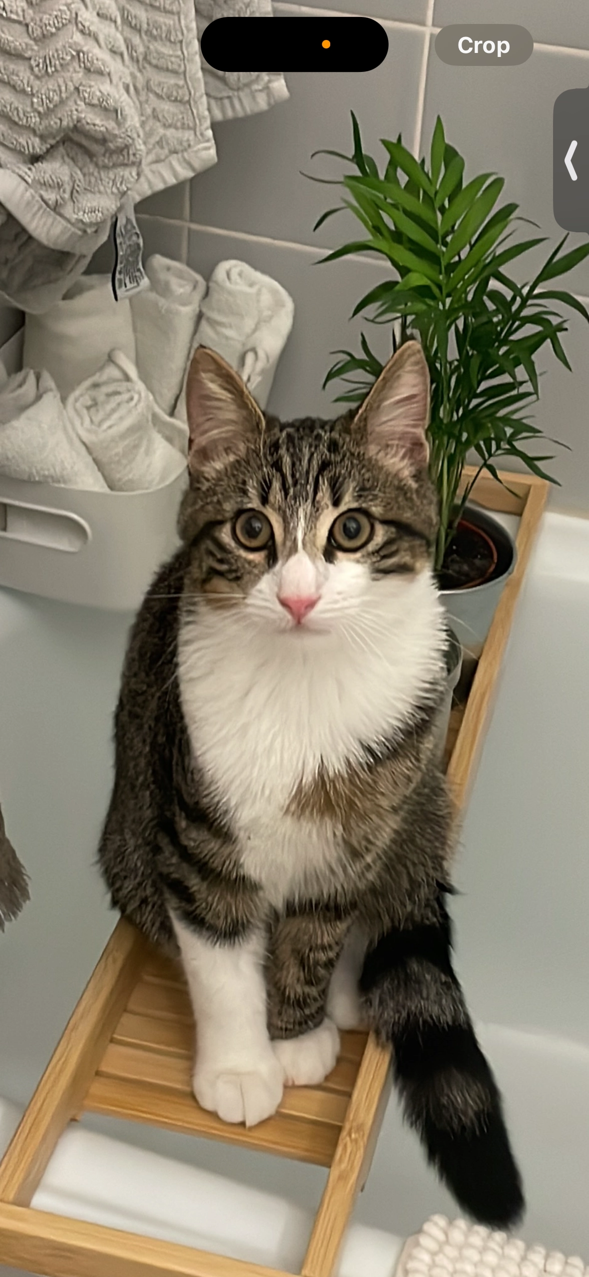 Menk - Kirchgasse, Meiringen