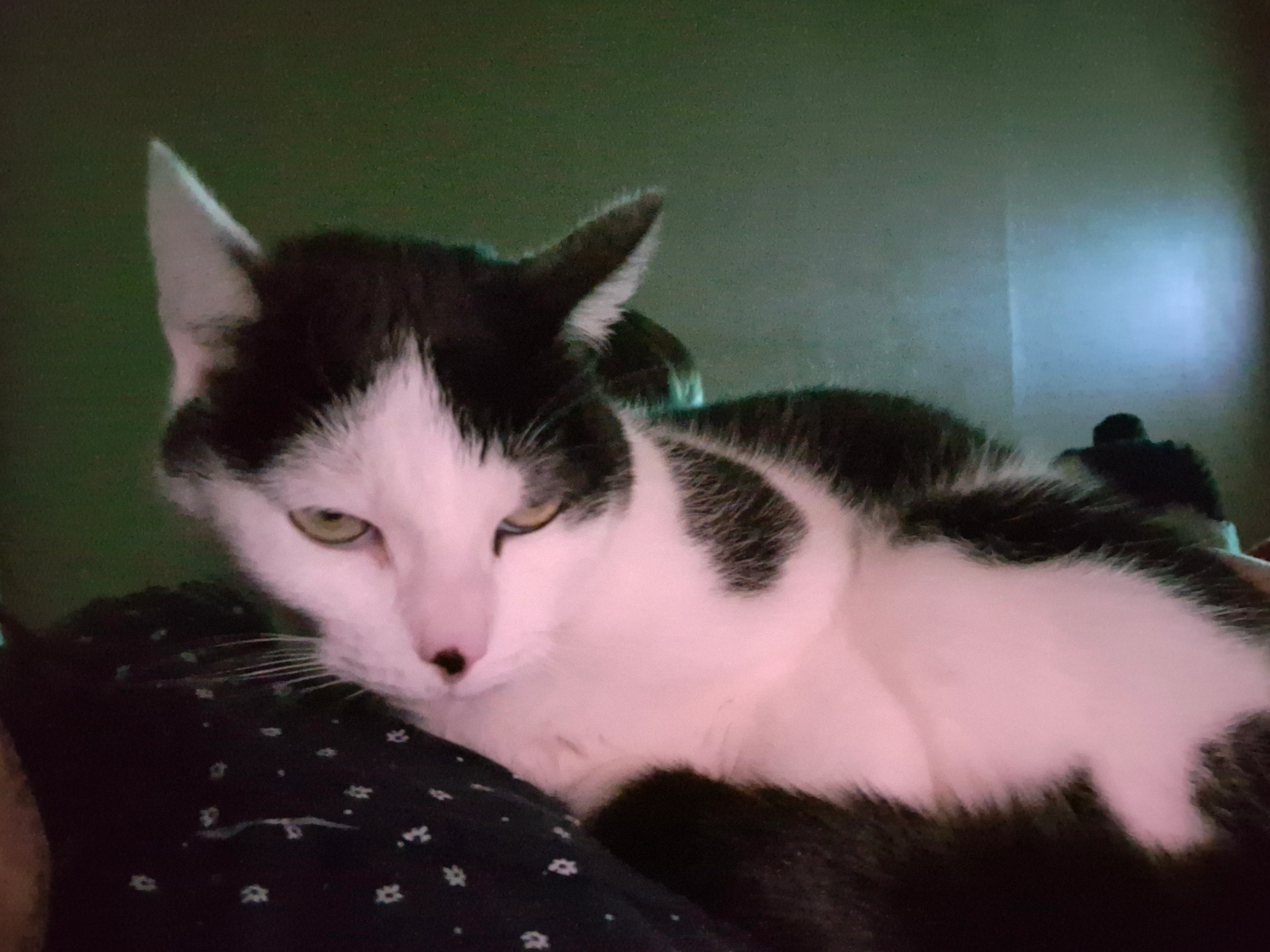 Dora - Rue De La Station, Musson