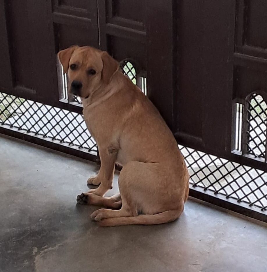 Shubh  - Kaushambi Rd, Prayagraj