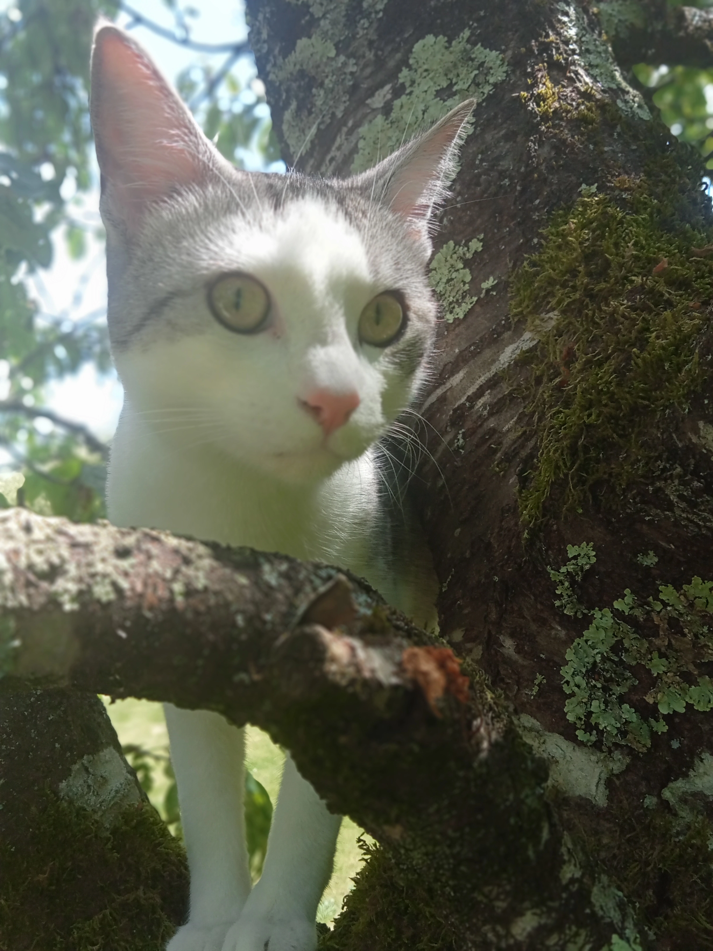 Uno - Les Gions, Vimory