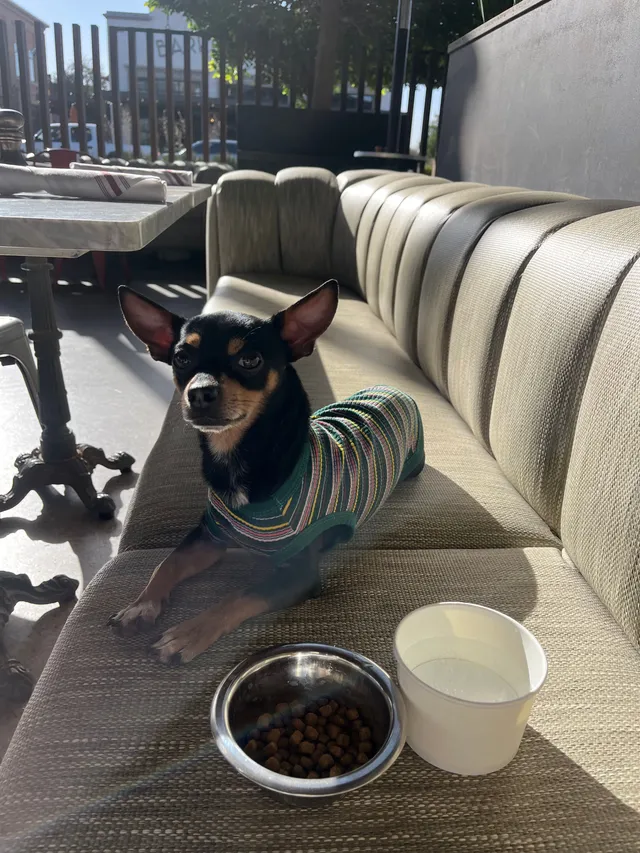 Max - East Mckellips Road, Tempe