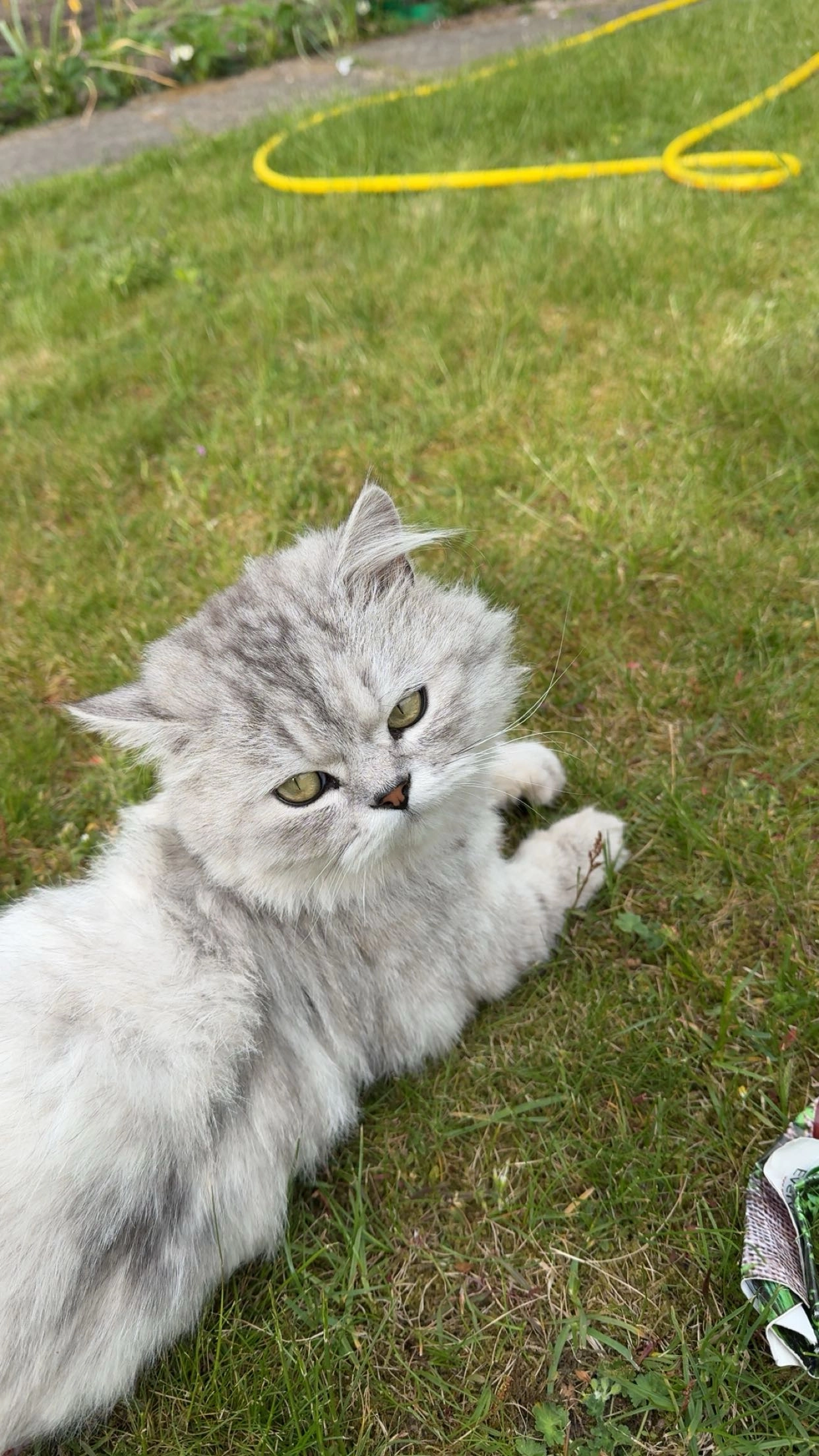 Toma  - Im Kessel 4, Wandlitz