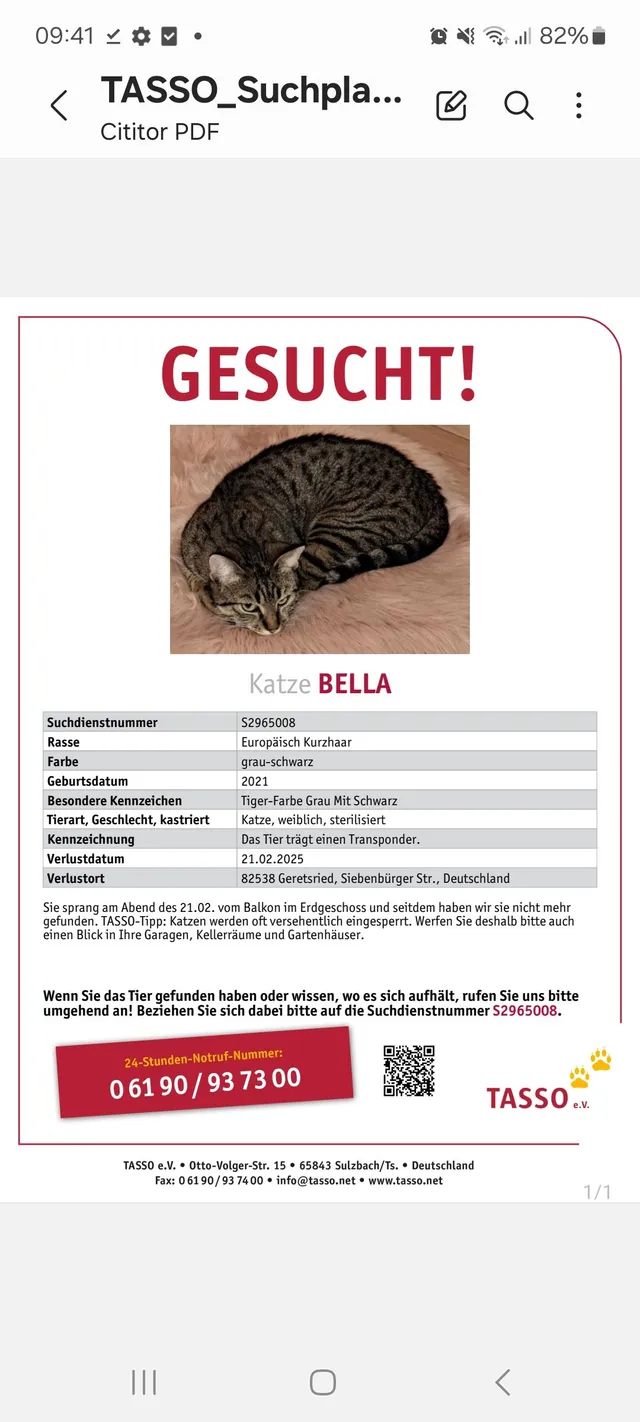 Missing Cat - Siebenbürgerstraße 32, Wels